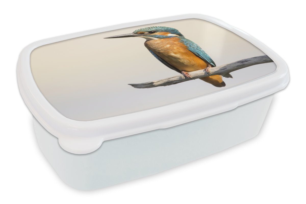 MuchoWow Lunchbox Eisvogel - Zweige - Tiere, Kunststoff, (2-tlg), Brotbox für Kinder und Erwachsene, Brotdose, für Jungs und Mädchen weiß