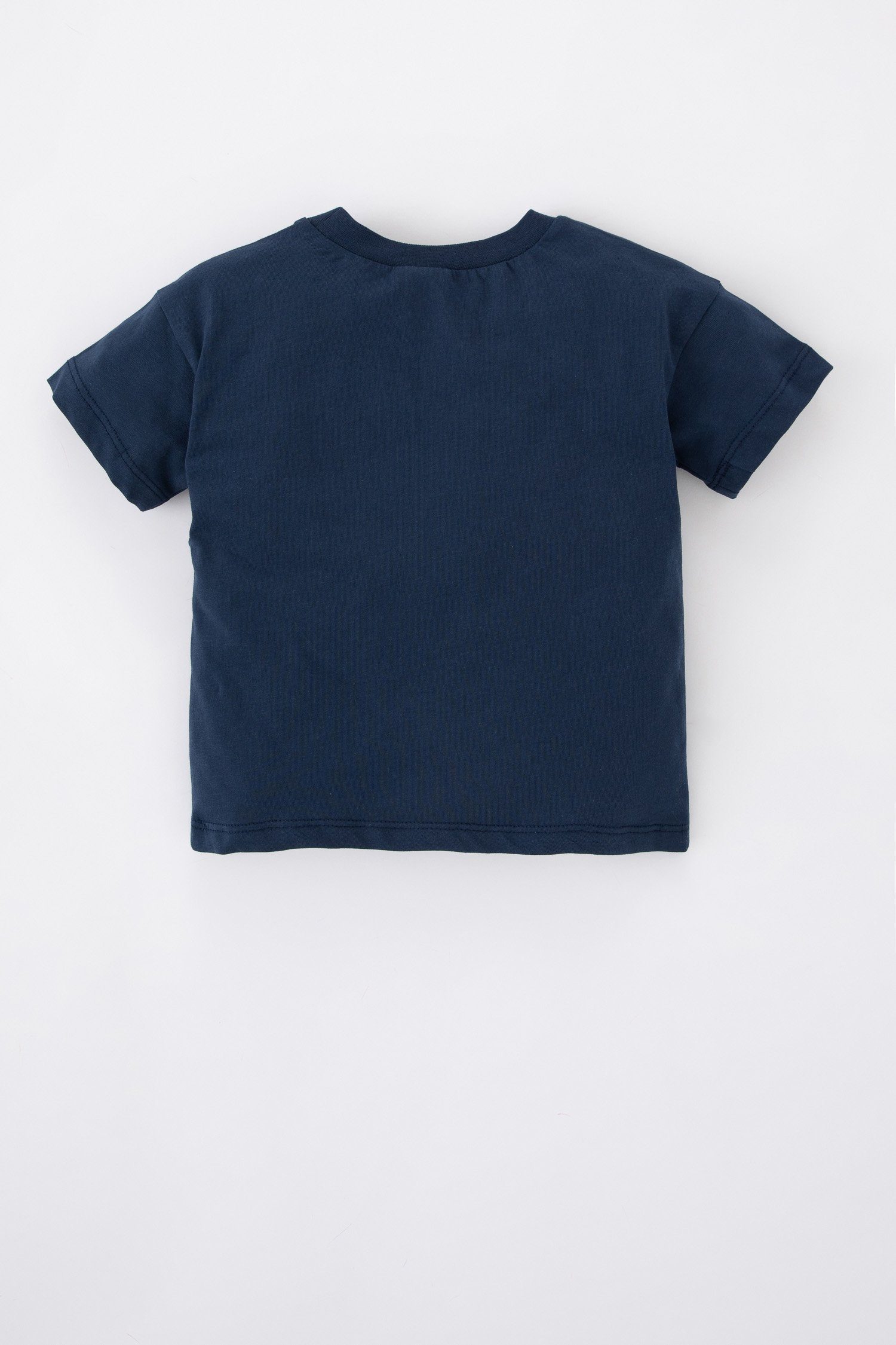 T-Shirt T-Shirt DeFacto FIT BabyBoy REGULAR