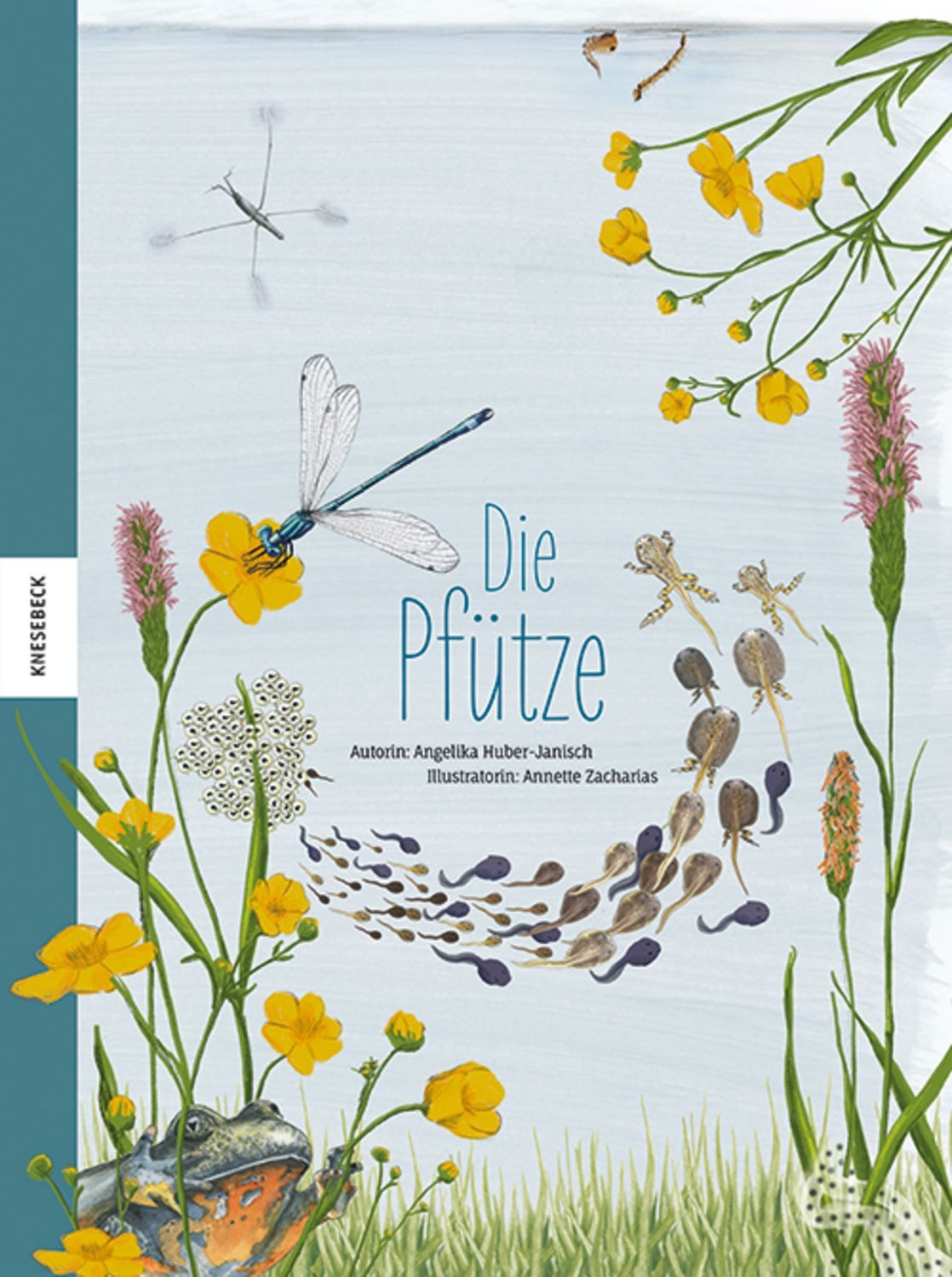 Die Pfütze / Angelika Huber-Janisch