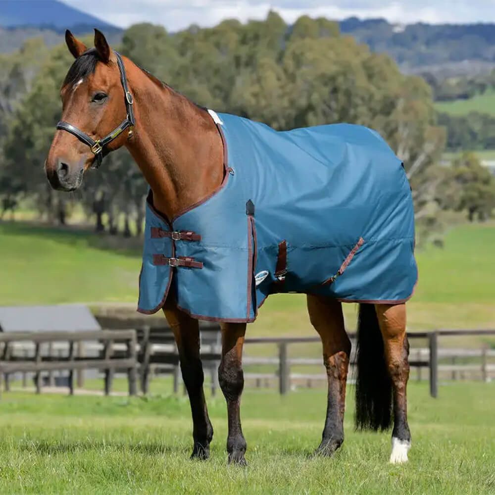 WeatherBeeta Pferde-Thermodecke Weatherbeeta Comfitec Classic Standard Medium 220g Weidedecke