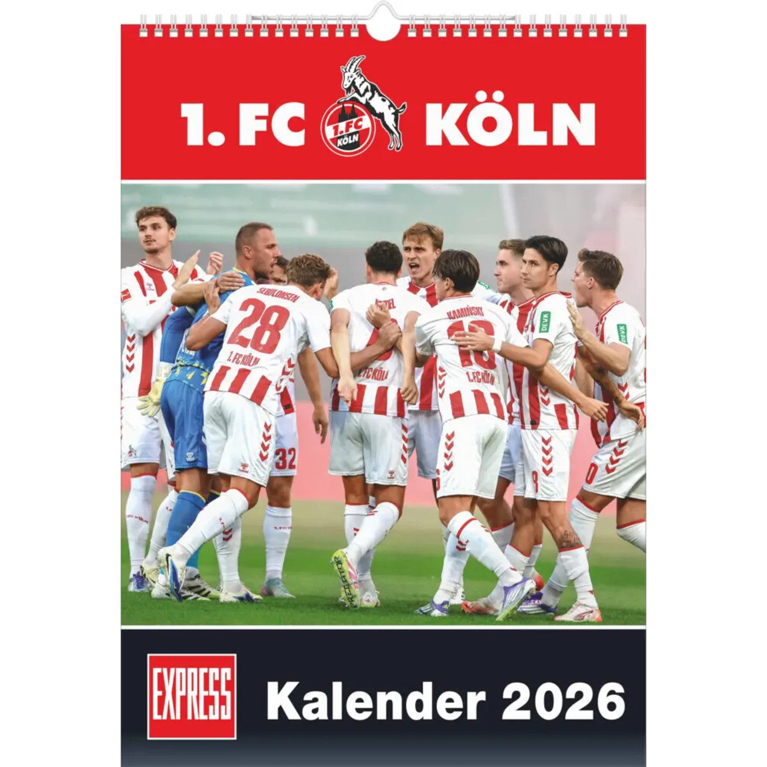DUMONT Wandkalender DUMONT - 1. FC Köln 2026 - Fußball-Kalender - 30 x 42 cm -...