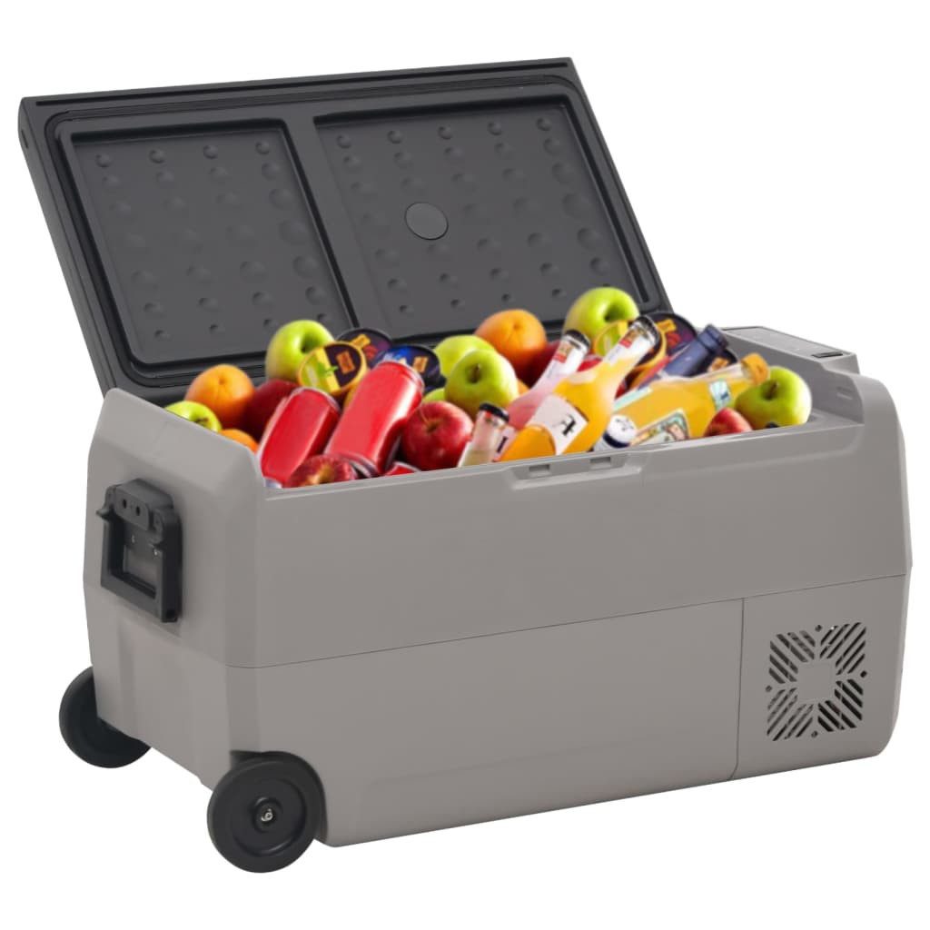 vidaXL Trolley-Kühlbox, Kühlbox mit Rollen und Griff Schwarz & Grau 50 L PP & PE