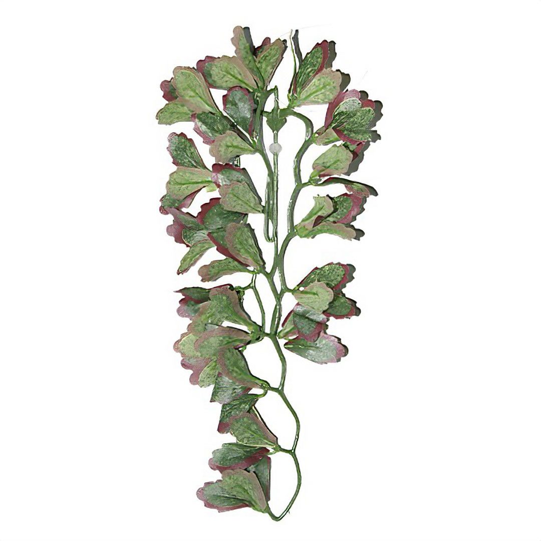 Terrarium ReptiZoo Kunststoffpflanze "Var. marginatum" – Terrariendekoration