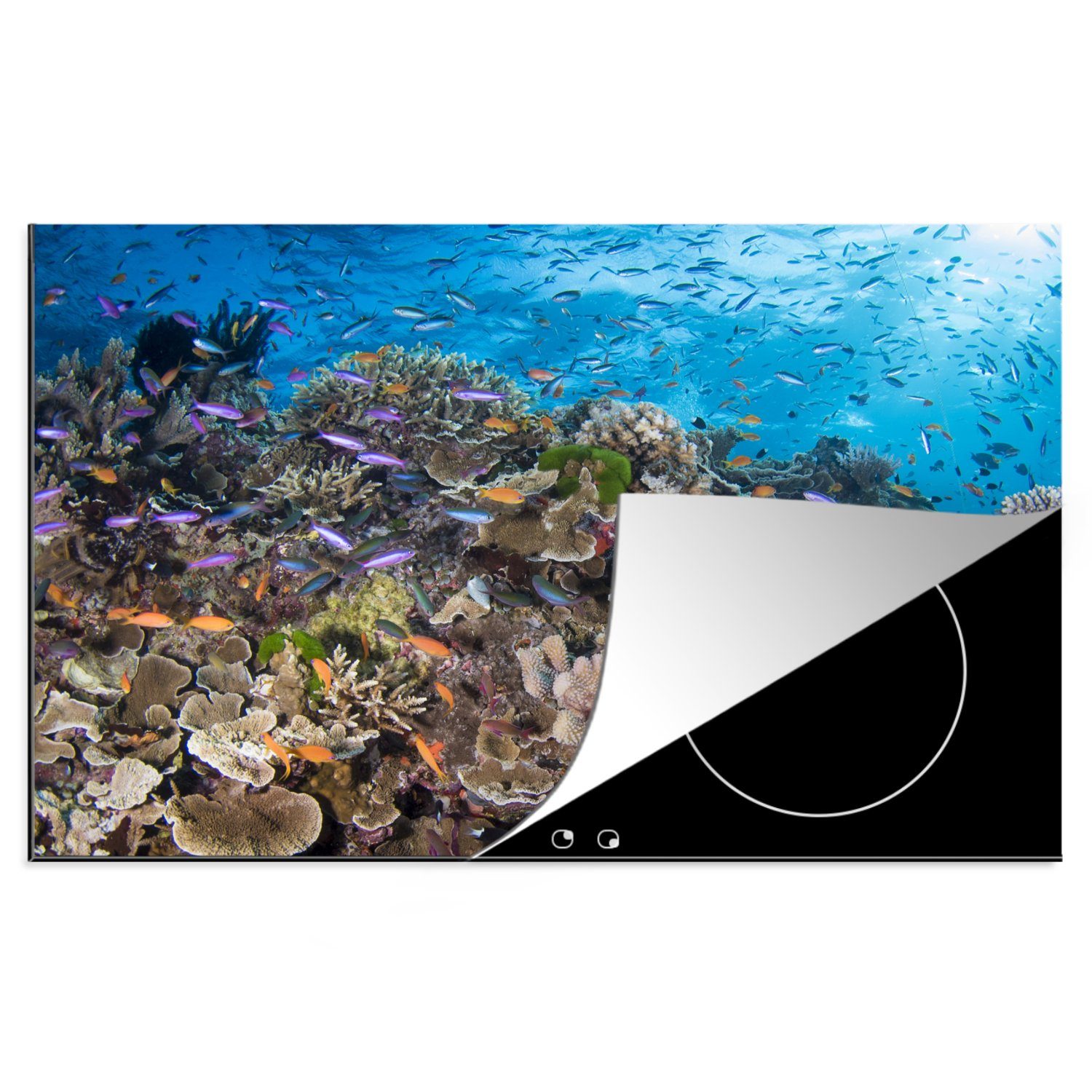 MuchoWow Herdblende-/Abdeckplatte Maritimes Leben am Great Barrier Reef, Vinyl, (1 tlg), 81x52 cm, Induktionskochfeld Schutz für die küche, Ceranfeldabdeckung