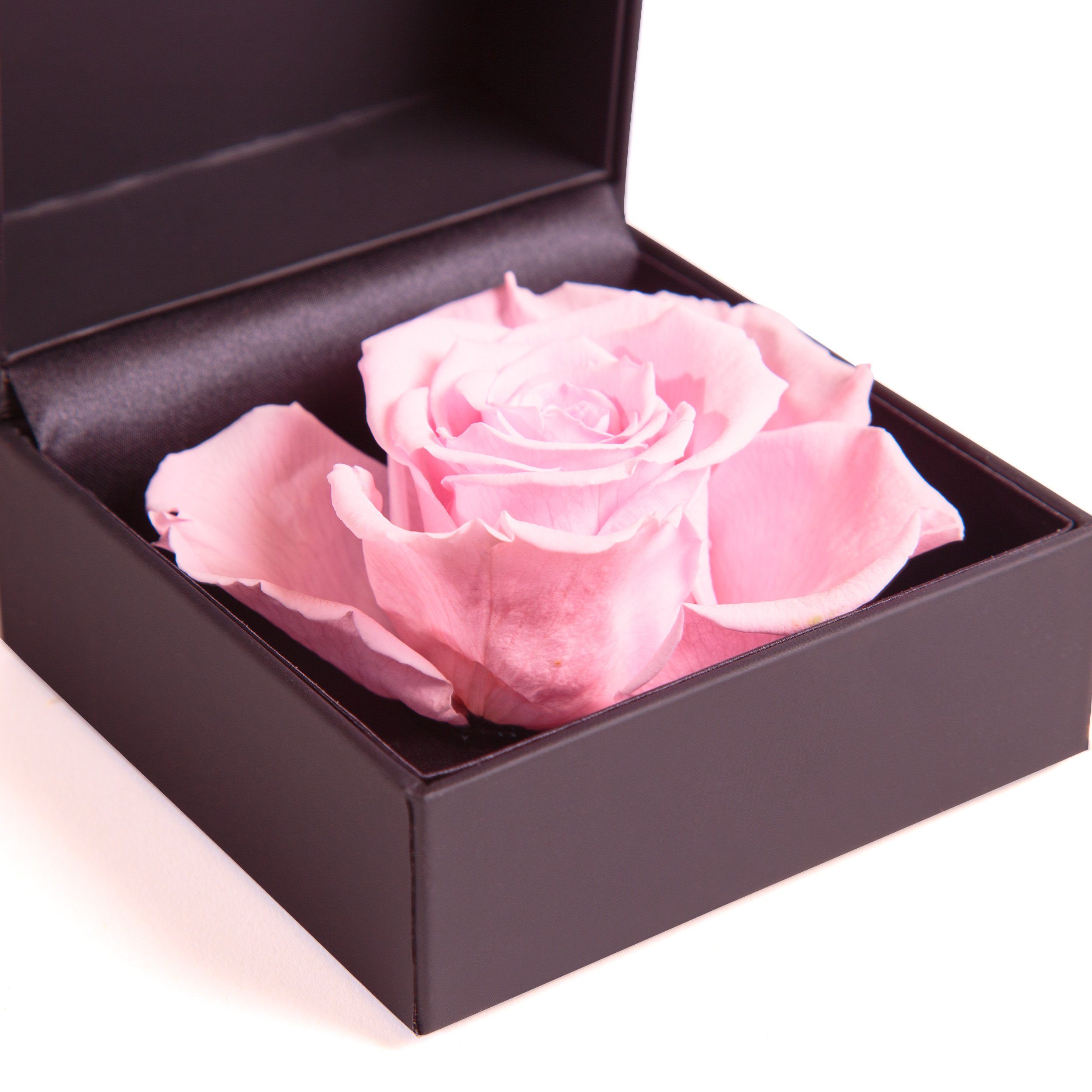 Heidelberg, Rose ROSEMARIE 9 Langlebige Groß Kunstblume Infinity cm, in Ringbox SCHULZ Ringdose Höhe konserviert Rose Rose, Box Rosenbox Rosa