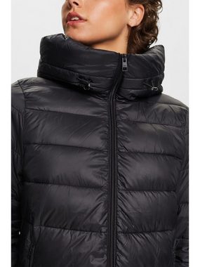 Esprit Steppjacke Steppjacke mit Kapuze