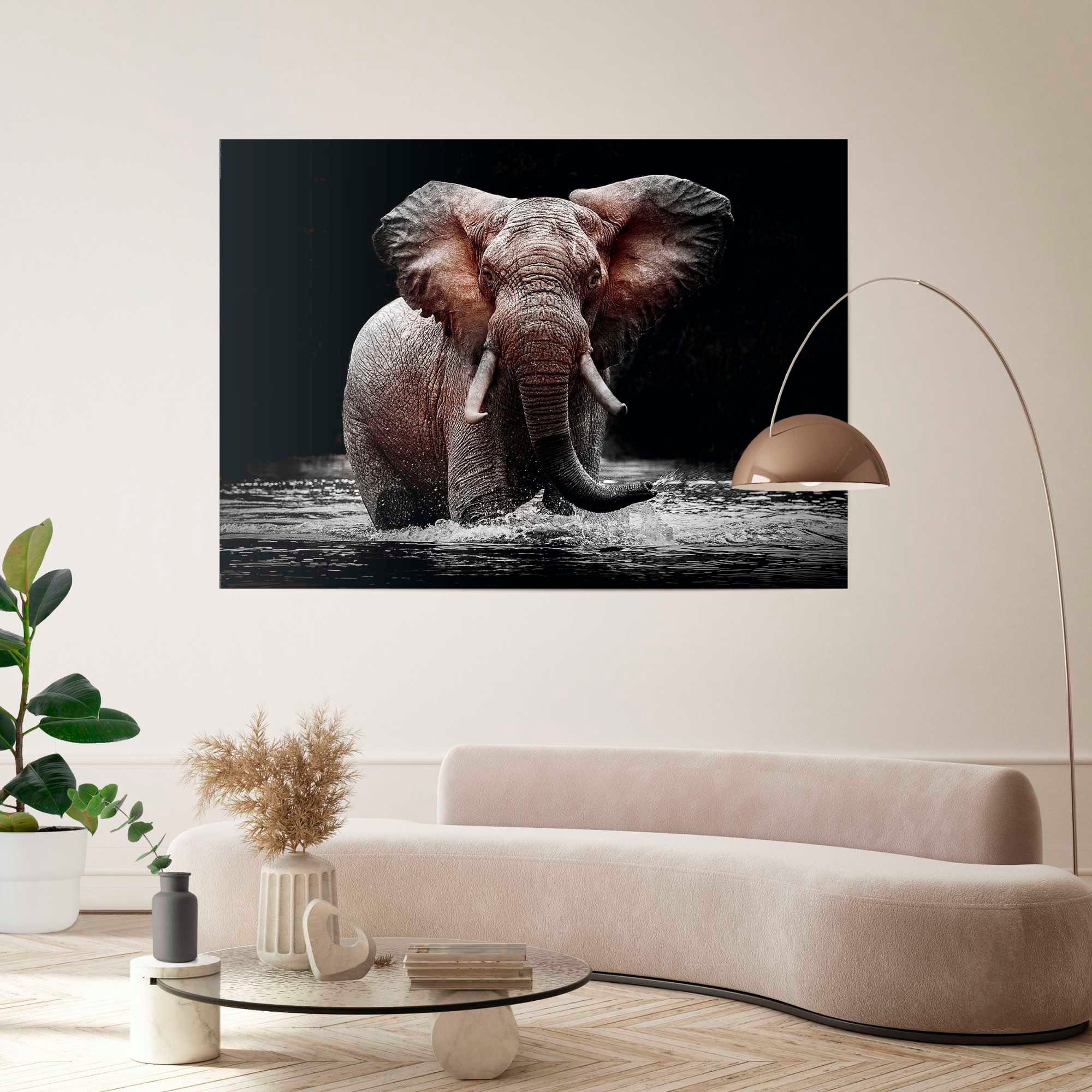 werden Europa Reinders! in Elefant, - ausschließlich Poster Poster Qualitätsprodukt Unsere