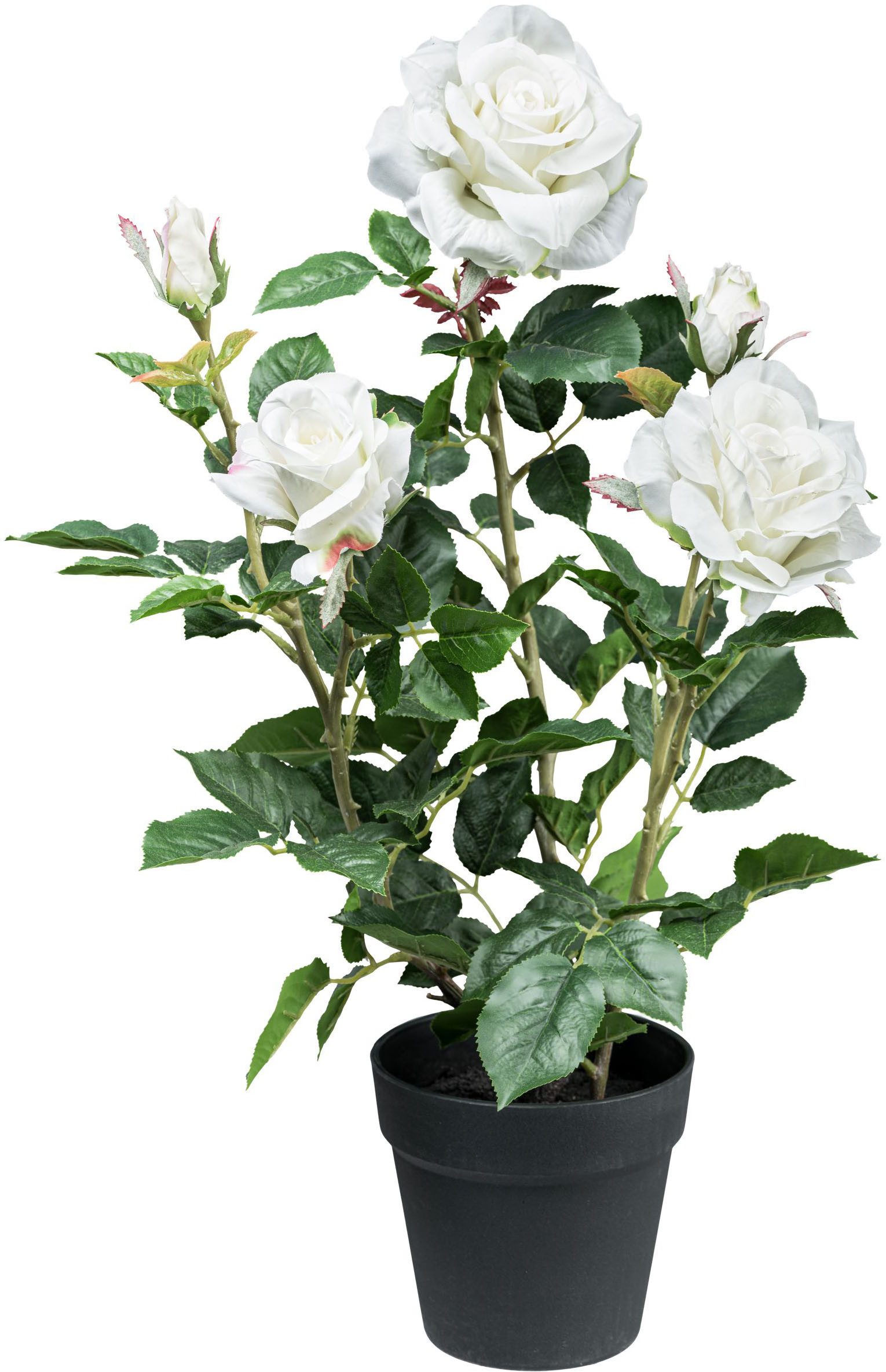 Kunstblume Rosenbusch Rose, Creativ green, Höhe 58 cm, mit 3 Blüten und 2 Knospen