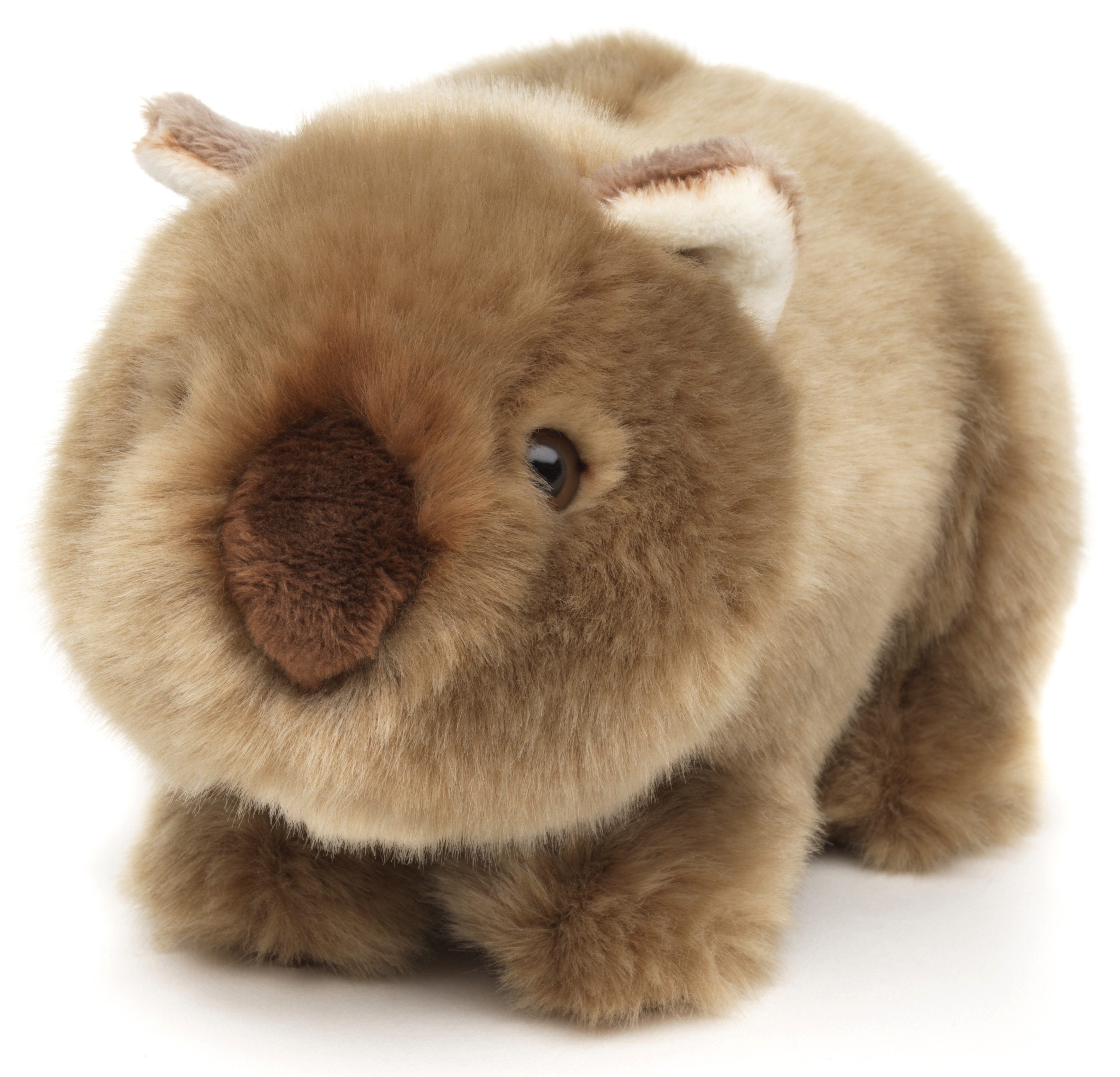 Uni-Toys Kuscheltier Wombat - 19 cm (Länge) - Plüschtier, Kuscheltier, zu 1 günstig online kaufen