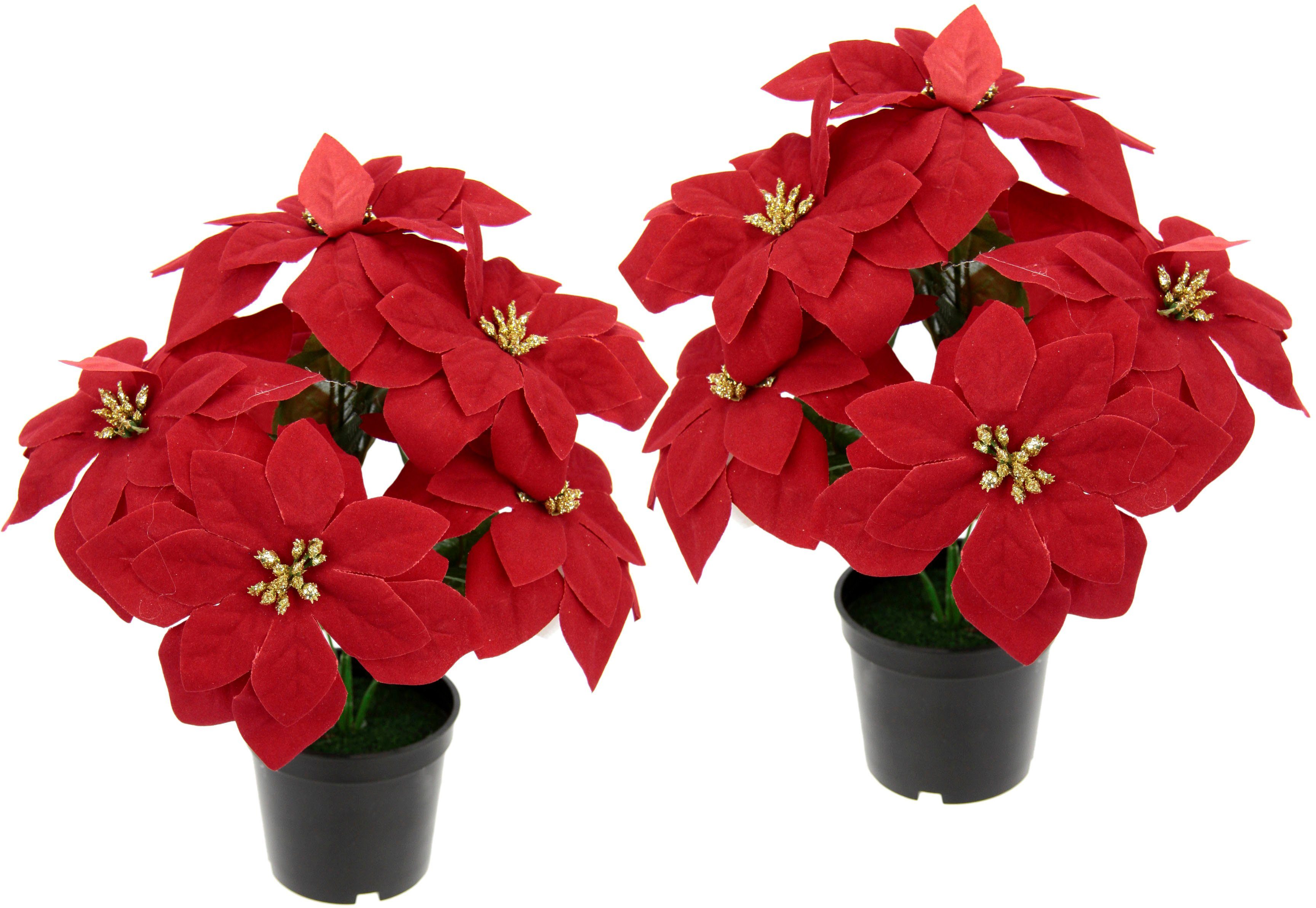 Kunstpflanze Poinsettie Poinsettie, I.GE.A., Höhe 29 cm, im Topf, 2er Set,  Sieht täuschend echt aus