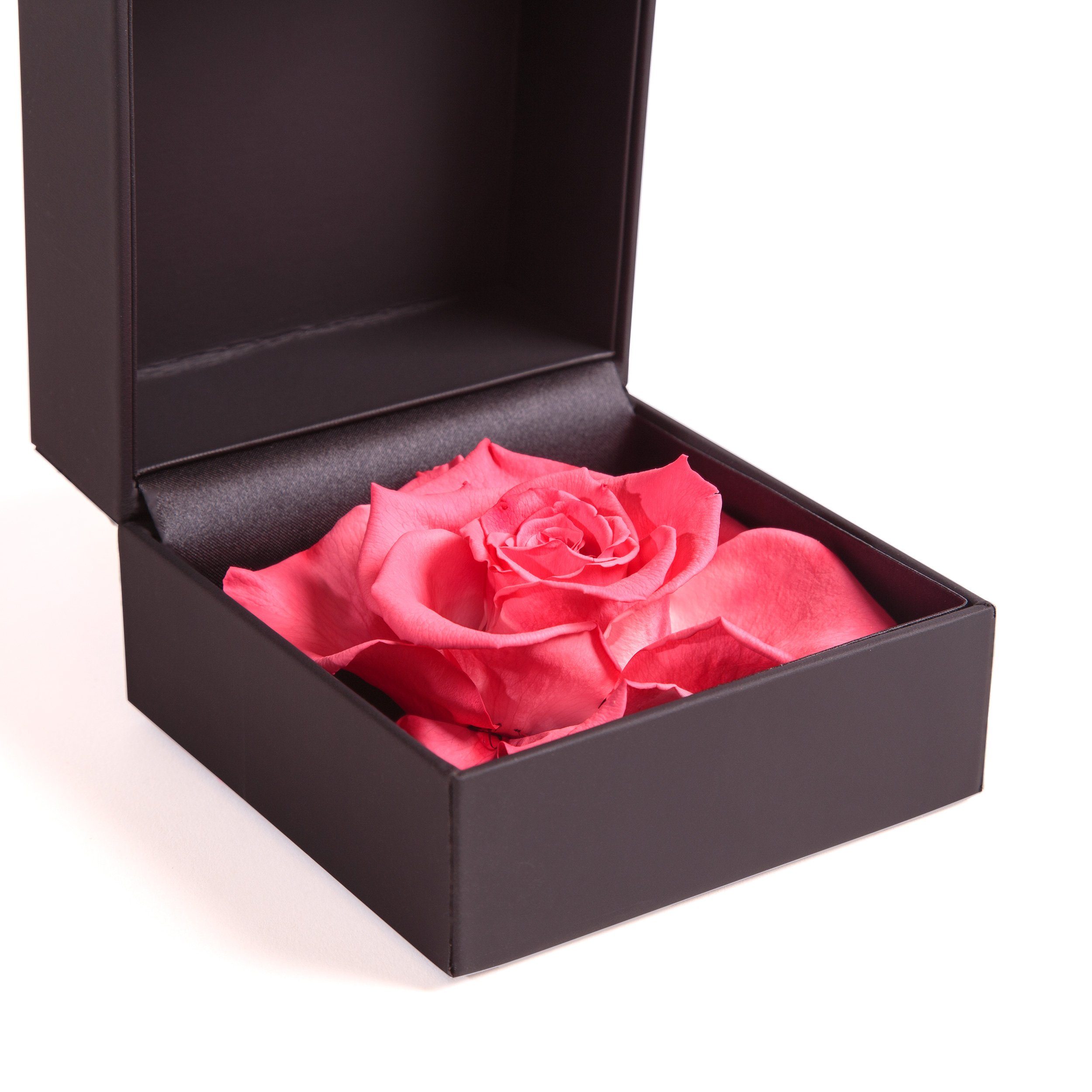 Kunstblume Rosenbox Ringbox Groß Rose Langlebige Korall ROSEMARIE konserviert cm, in Höhe Heidelberg, 9 SCHULZ Box Rose Infinity Rose, Ringdose