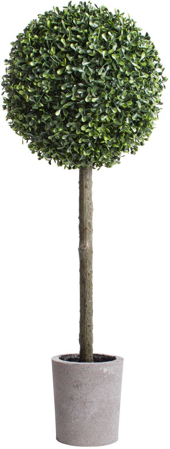Kunstbaum »Buchskugelbaum« Buchs, Botanic-Haus, Höhe 78 cm-Otto