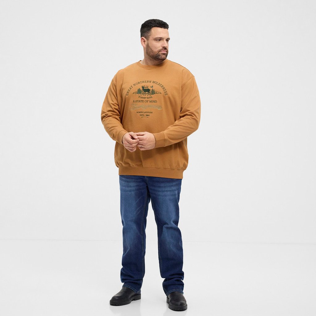 Sweatshirt Sweatshirt mit Stickerei Beige