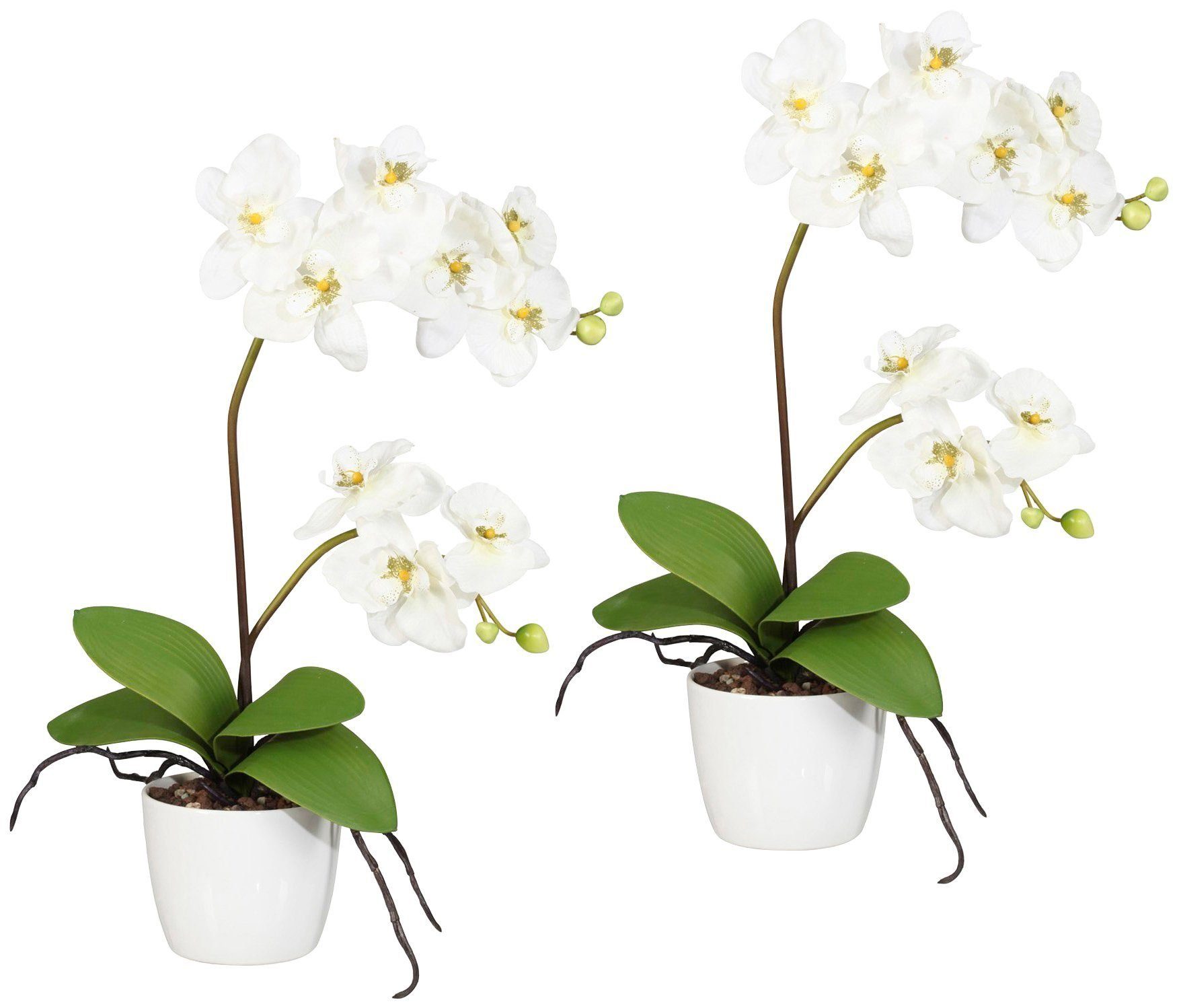 Kunstpflanze Orchidee Phalaenopsis Orchidee, Creativ green, Höhe 60 cm, im Keramiktopf