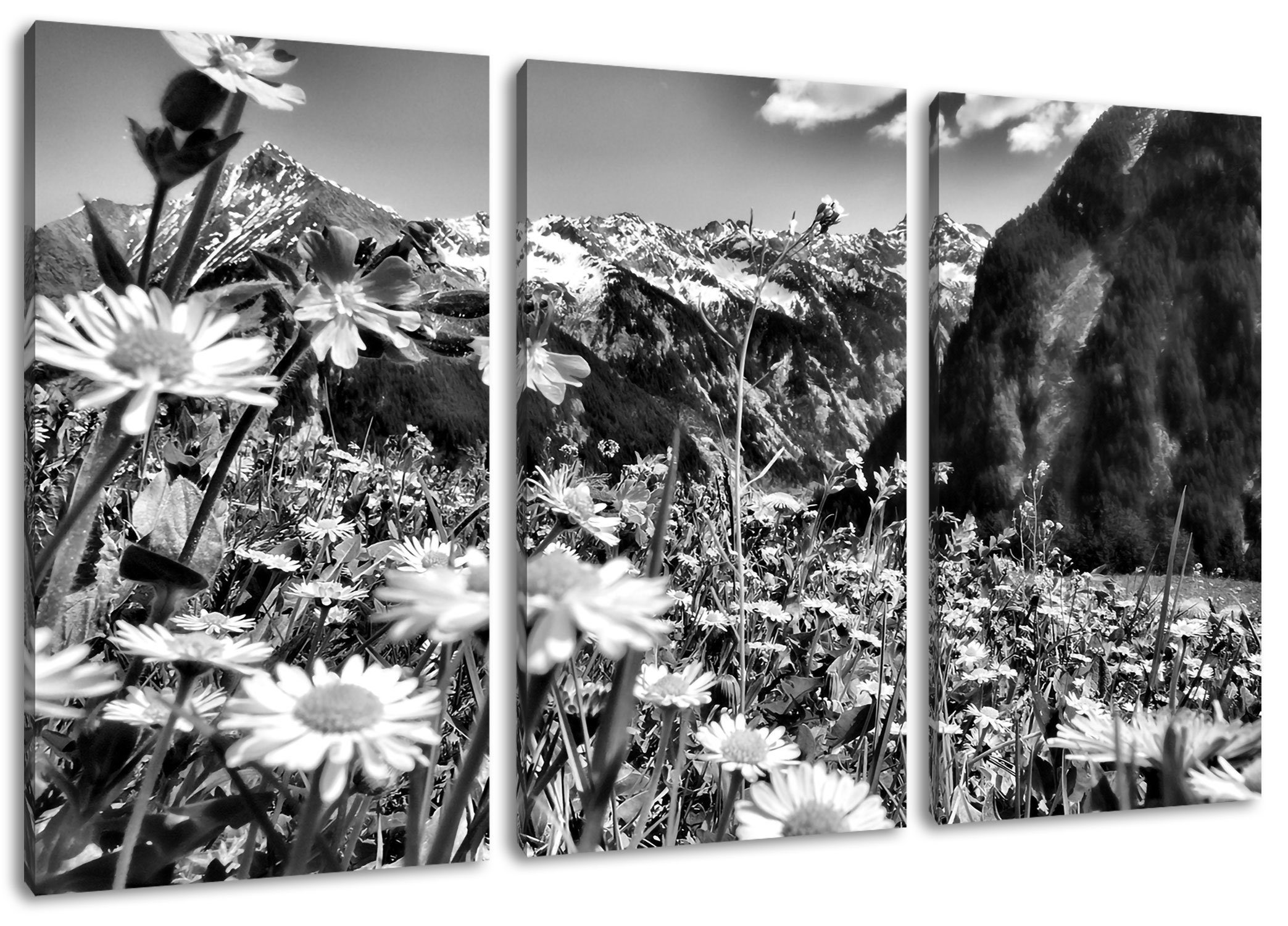Pixxprint Leinwandbild Wunderschöne Blumen Alpenwiese, Wunderschöne Blumen Alpenwiese 3Teiler (120x80cm) (1 St), Leinwandbild fertig bespannt, inkl. Zackenaufhänger | Leinwandbilder