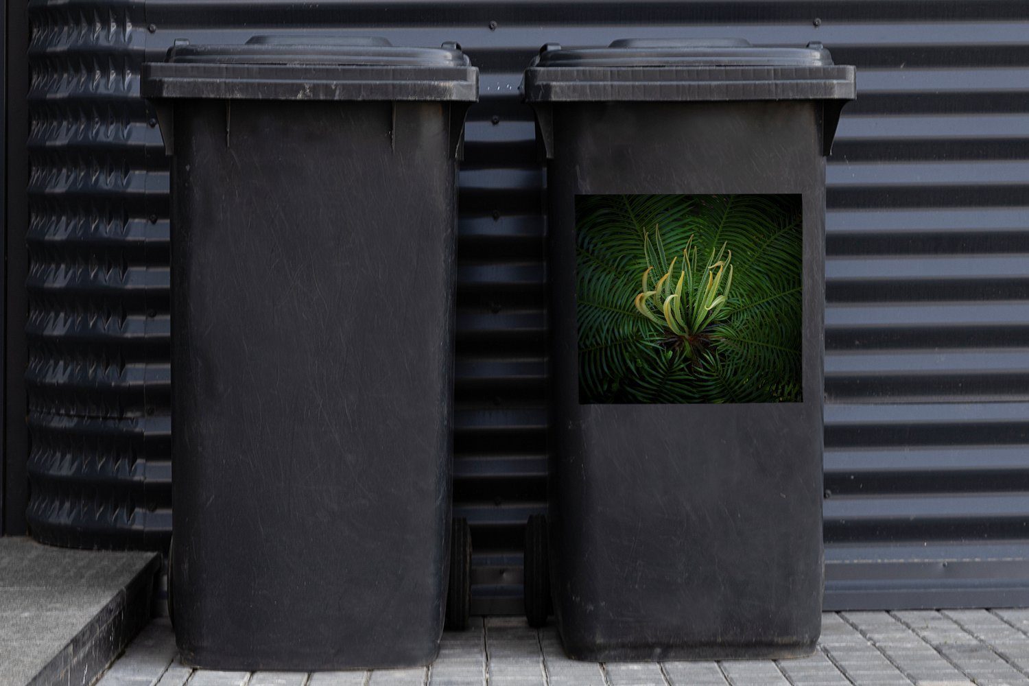 Cycad-Pflanze Container, schwarzem Wandsticker Eine Mülltonne, (1 blühende Sticker, MuchoWow Mülleimer-aufkleber, St), Abfalbehälter Hintergrund auf