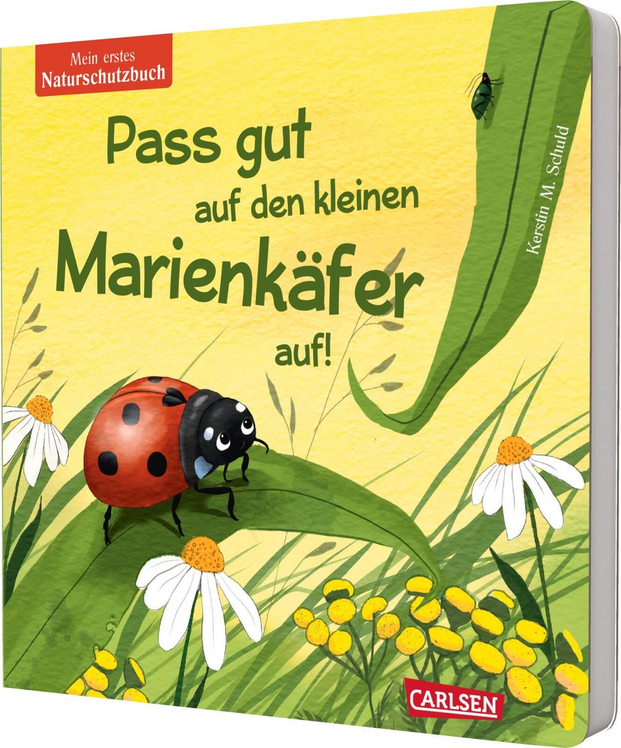 Pass gut auf den kleinen Marienkäfer auf / Kerstin M. Schuld