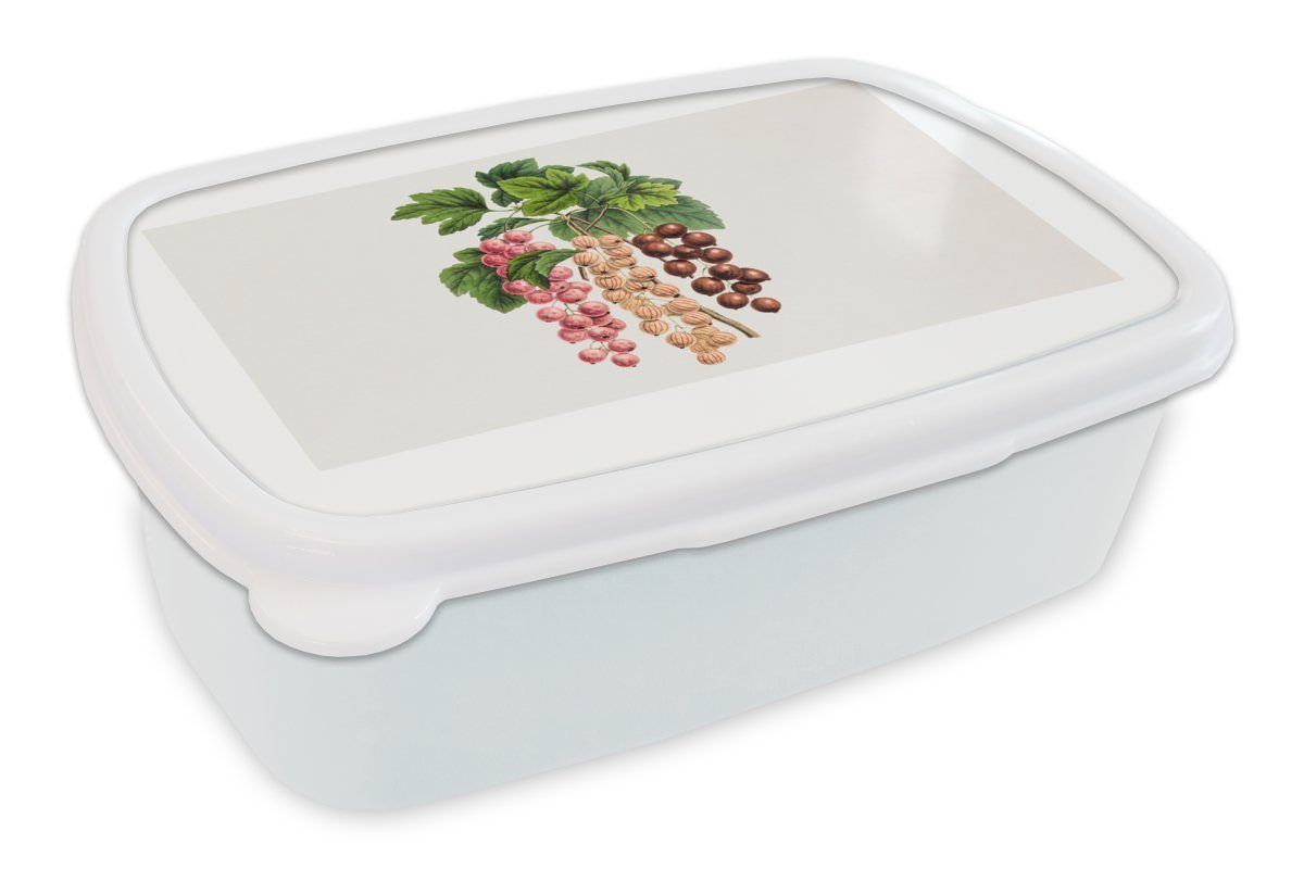 MuchoWow Lunchbox Lebensmittel - Beeren - Pflanze, Kunststoff, (2-tlg), Brotbox für Kinder und Erwachsene, Brotdose, für Jungs und Mädchen weiß