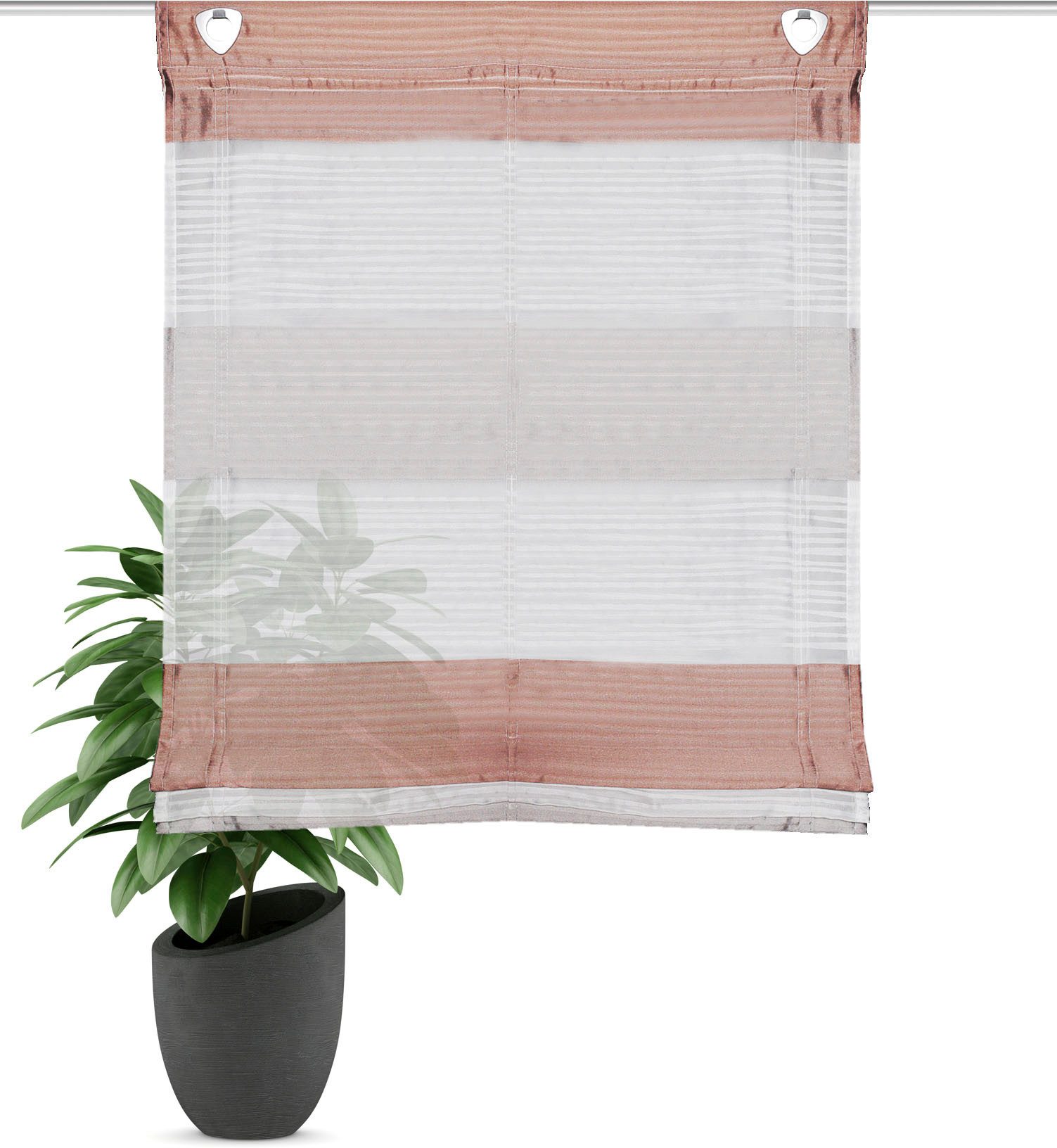 HOME WOHNIDEEN Raffrollo Sarnia, mit Hakenaufhängung, ohne Bohren günstig online kaufen