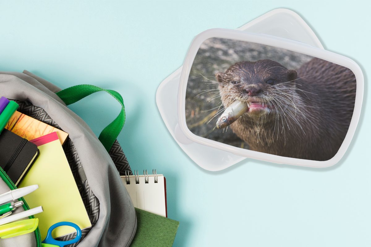 MuchoWow und für (2-tlg), frisst Lunchbox Brotbox für Otter Brotdose, weiß Kunststoff, Mädchen Kinder Fisch, Jungs und Erwachsene,
