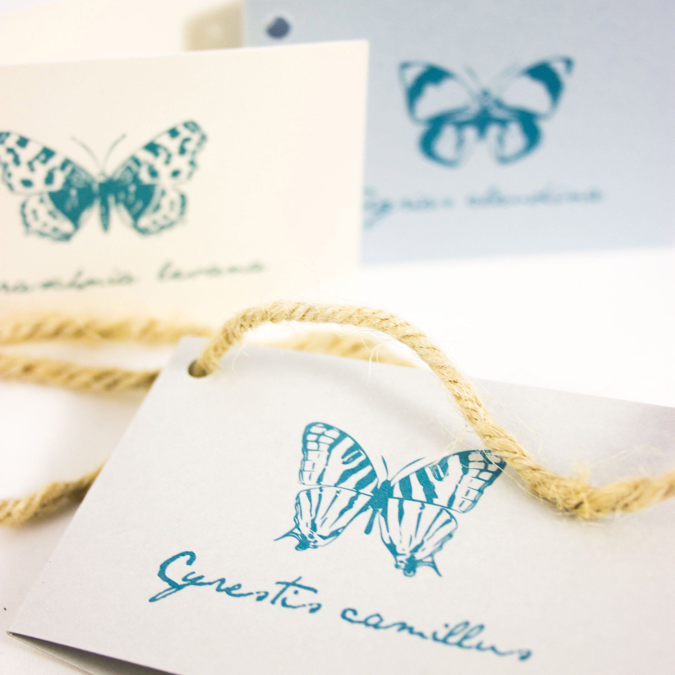 Schmetterlinge No. 02, der Naturkordel Geschenkband mit Hummingbird Welt & Geschenkanhänger einem Bow Meter Klappkarte