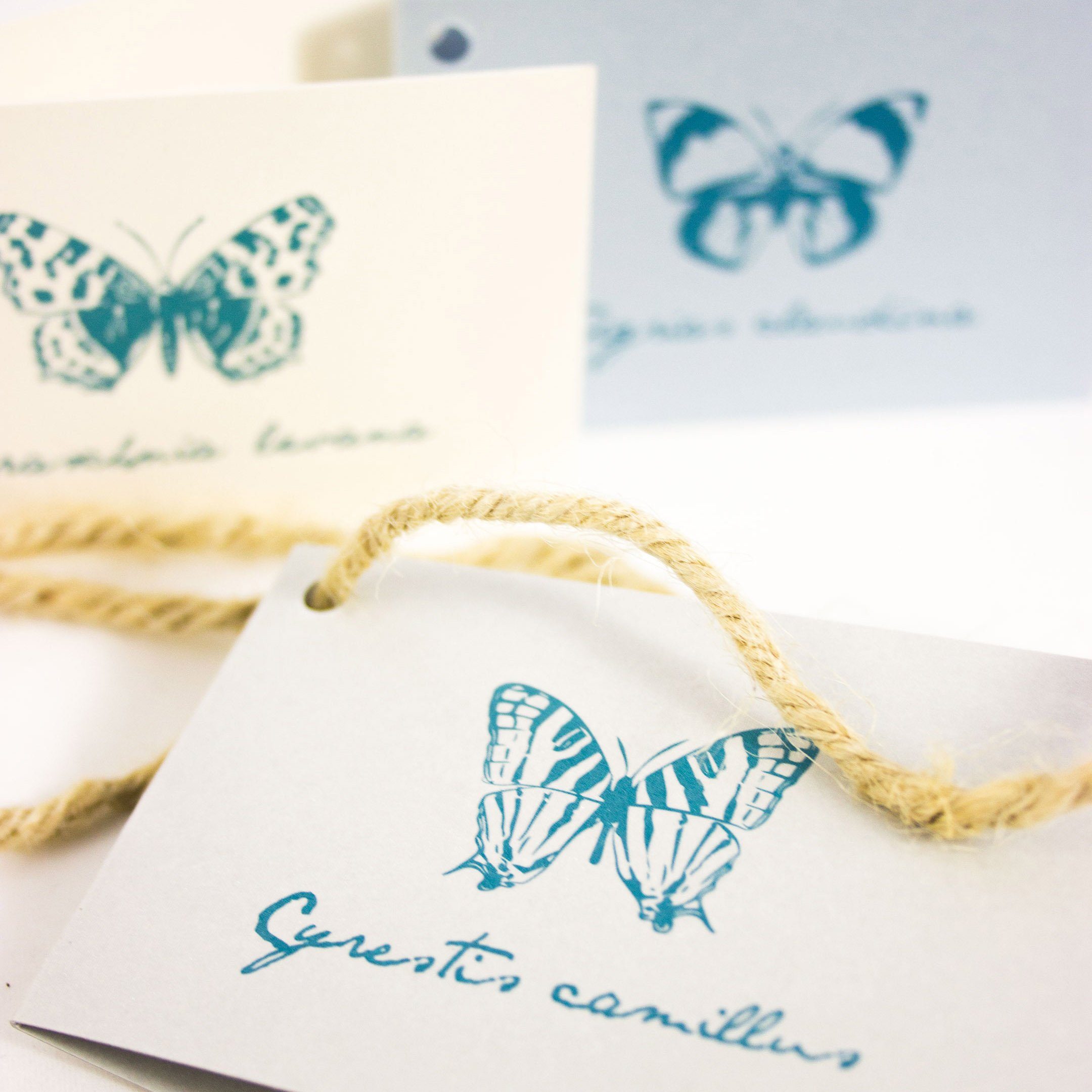 Thumbnail - Bow & Hummingbird Geschenkband Geschenkanhänger Schmetterlinge der Welt No. 02, Klappkarte mit einem Meter Naturkordel