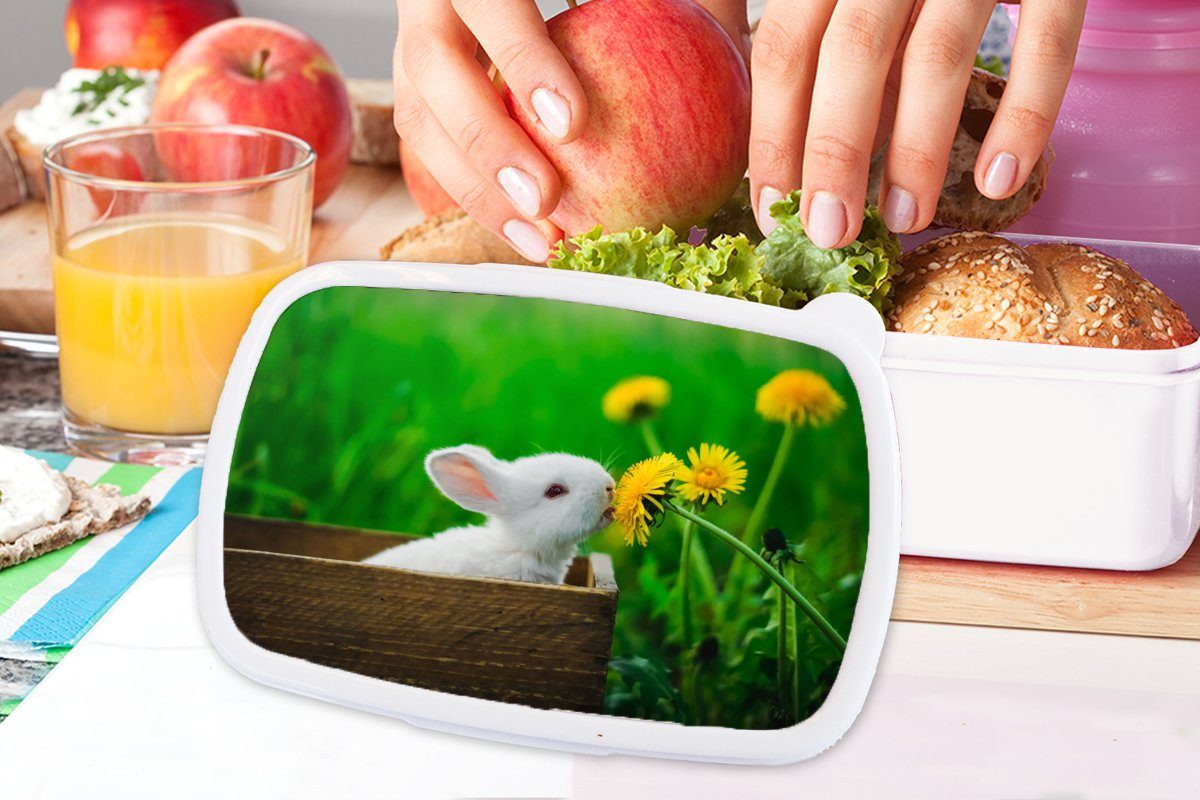 Brotdose, Kunststoff, und weiß - Kaninchen für - Lunchbox Kinder Jungs MuchoWow Mädchen und Brotbox für (2-tlg), Gras, Erwachsene, Löwenzahn