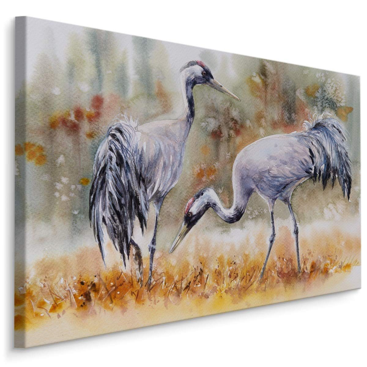 Muralo Leinwandbild Landschaft – Leinwandbild Wandbild Kunstdruck Wohnzimmer, Gewässer (1 St), Natur – Kraniche – Feld, 70 x 50 cm, aufhängefertig