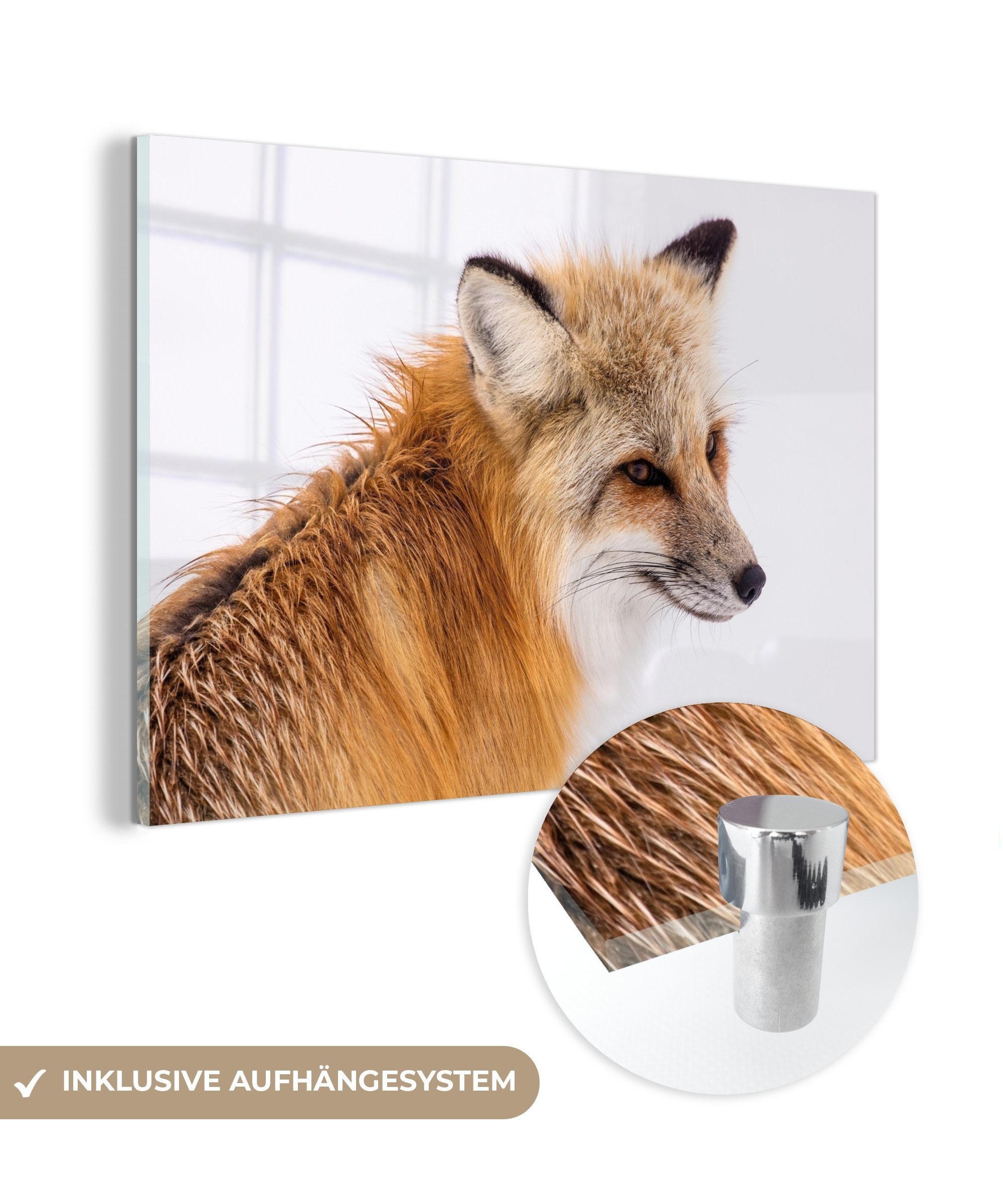 MuchoWow Acrylglasbild Fuchs - Weiß - Orange, (1 St), Acrylglasbilder Wohnzimmer & Schlafzimmer