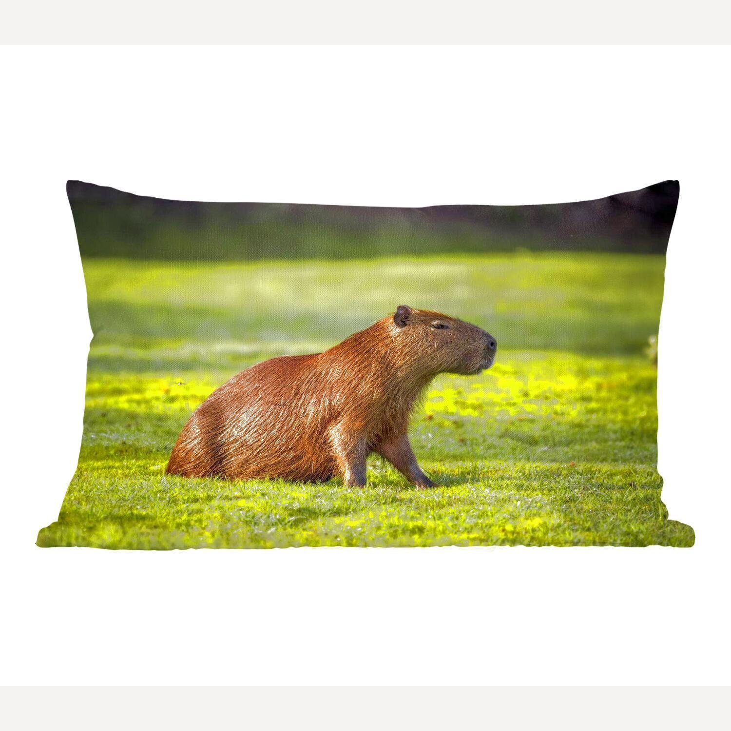 MuchoWow Dekokissen Sonnenstrahlen Dekokissen Wohzimmer Goldene Capybara, dem über Zierkissen, mit Dekoration, Füllung, Schlafzimmer