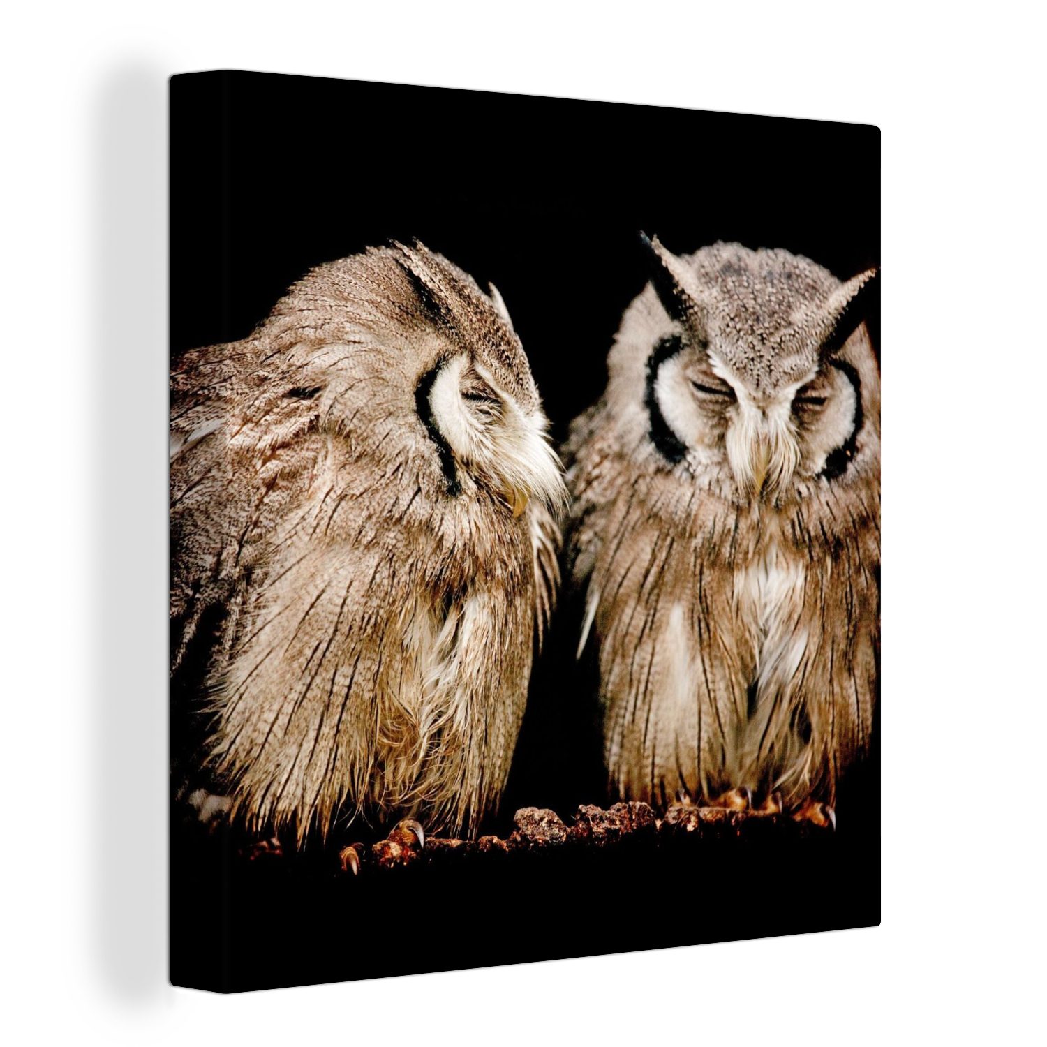 OneMillionCanvasses® Leinwandbild Eule - Vogel - Schwarz, (1 St), Leinwand Bilder für Wohnzimmer Schlafzimmer bunt