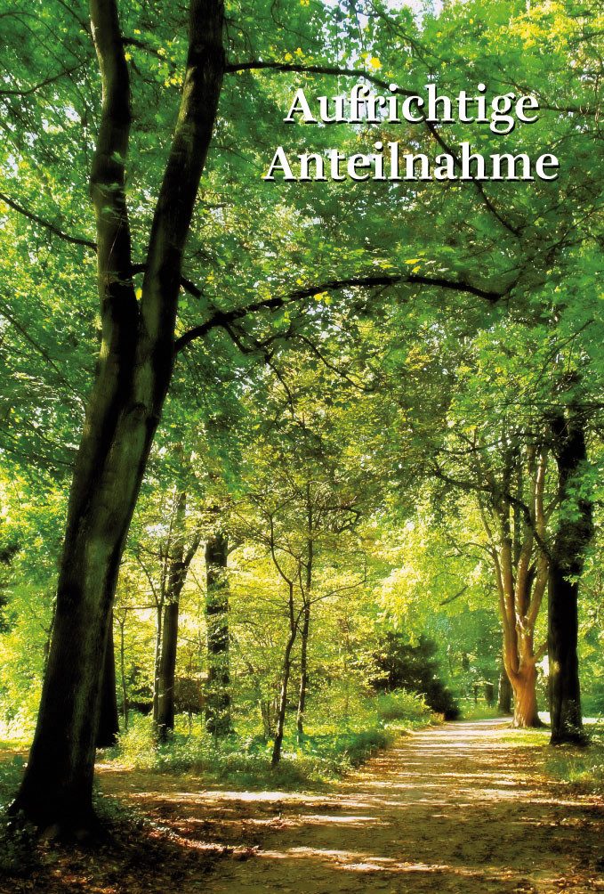 BSB Grußkarten Trauer – Beileid - Kondolenzkarte im Format 11,5 x 17 cm mit