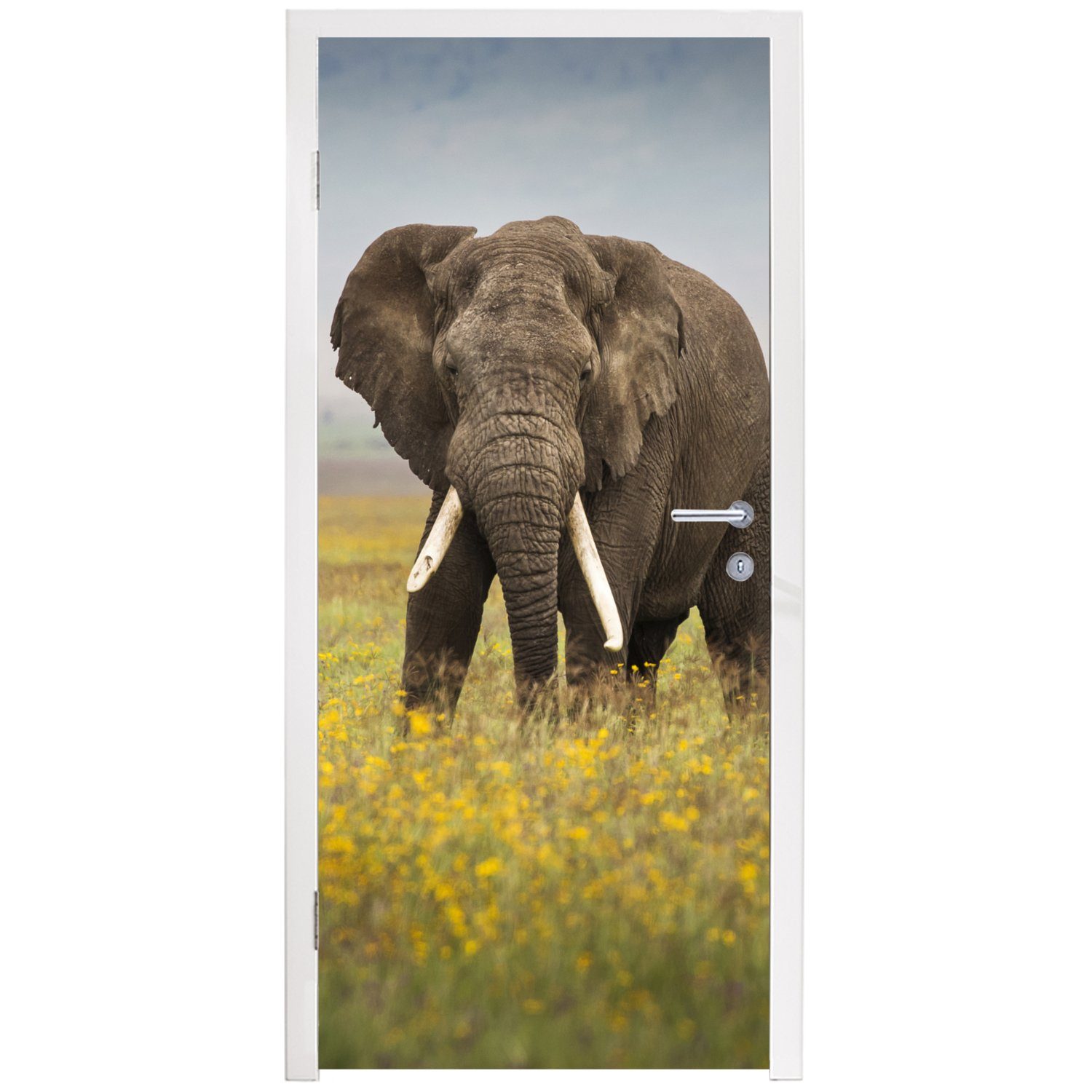 Tiere Natur, für MuchoWow - St), Blumen Gras Fototapete - Türtapete Türaufkleber, 75x205 Tür, - - Matt, cm bedruckt, (1 Elefant