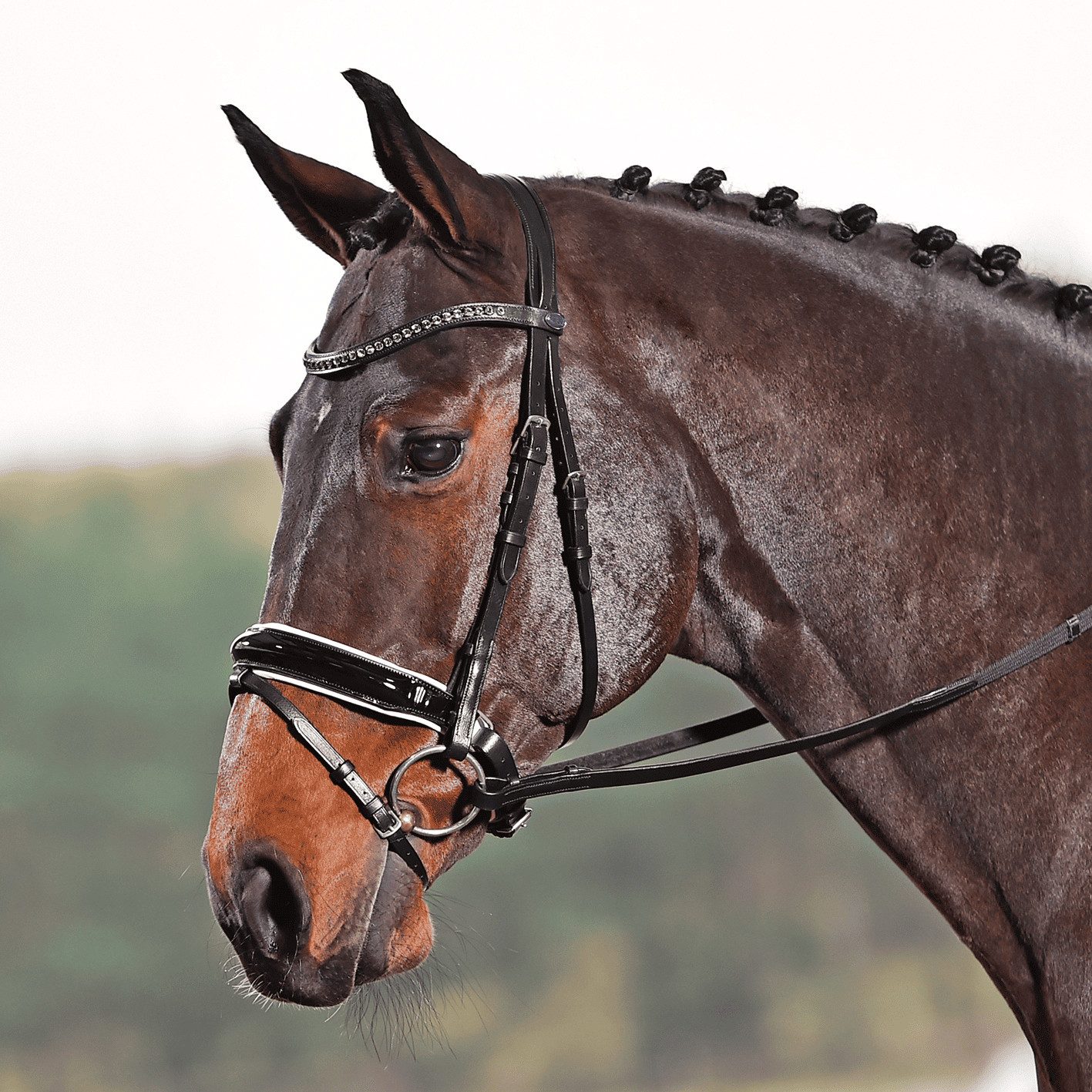 BUSSE Trensenzaum Trense Luxury