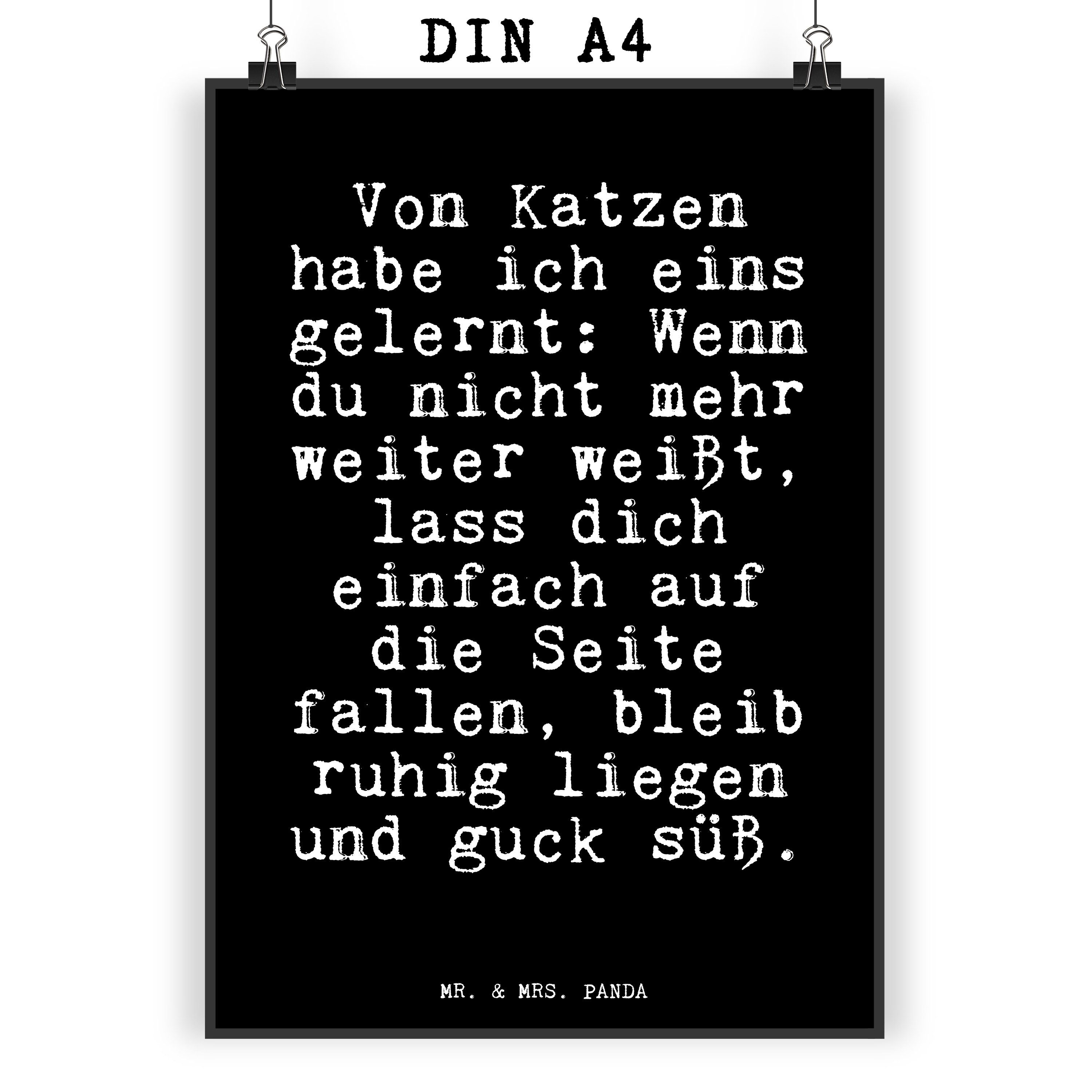 Mr. & Mrs. Panda Poster »Von Katzen habe ich... Schwarz Geschenk