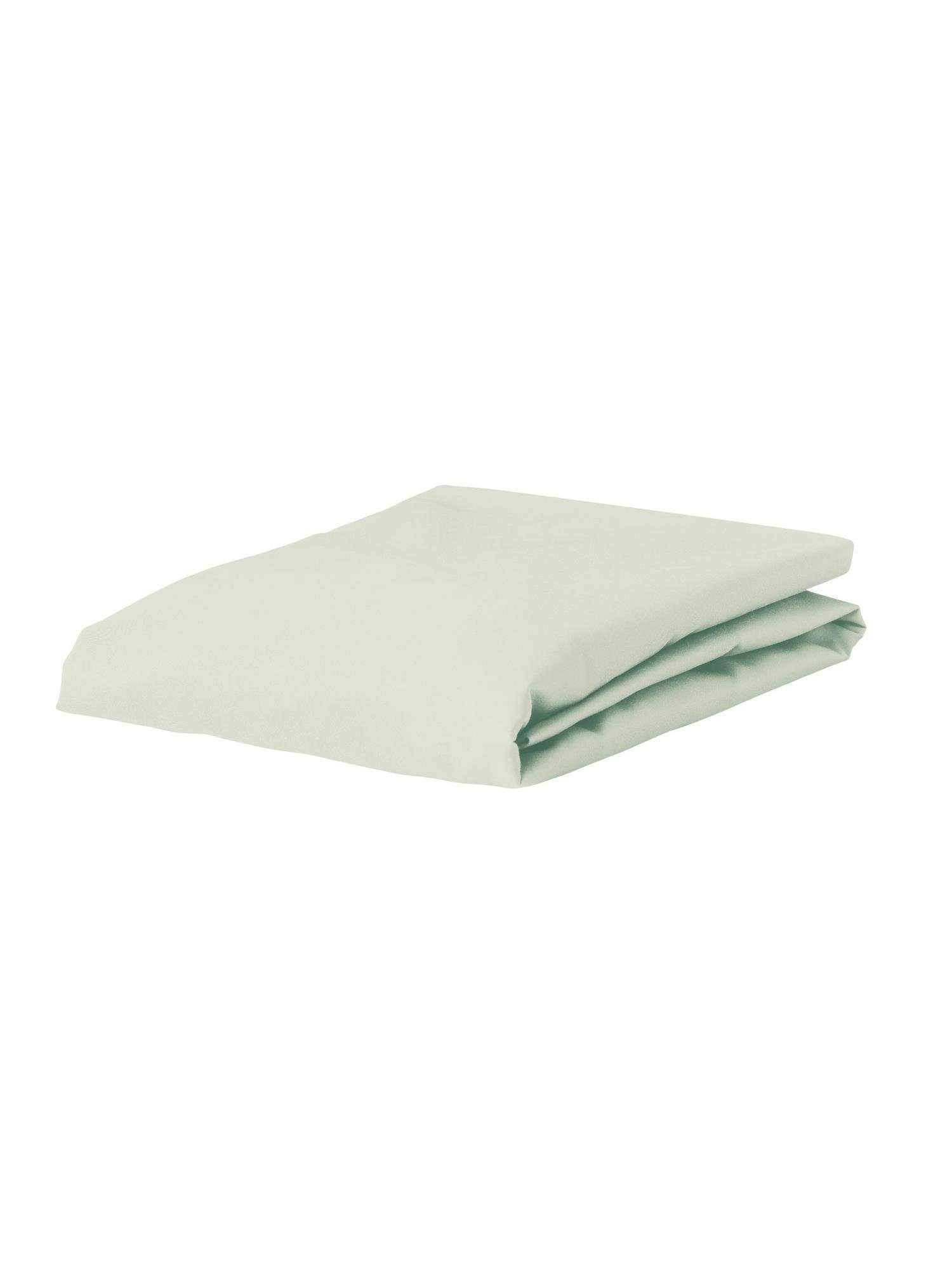 Essenza Spannbettlaken Premium Percale, Perkal, Gummizug: günstig online kaufen