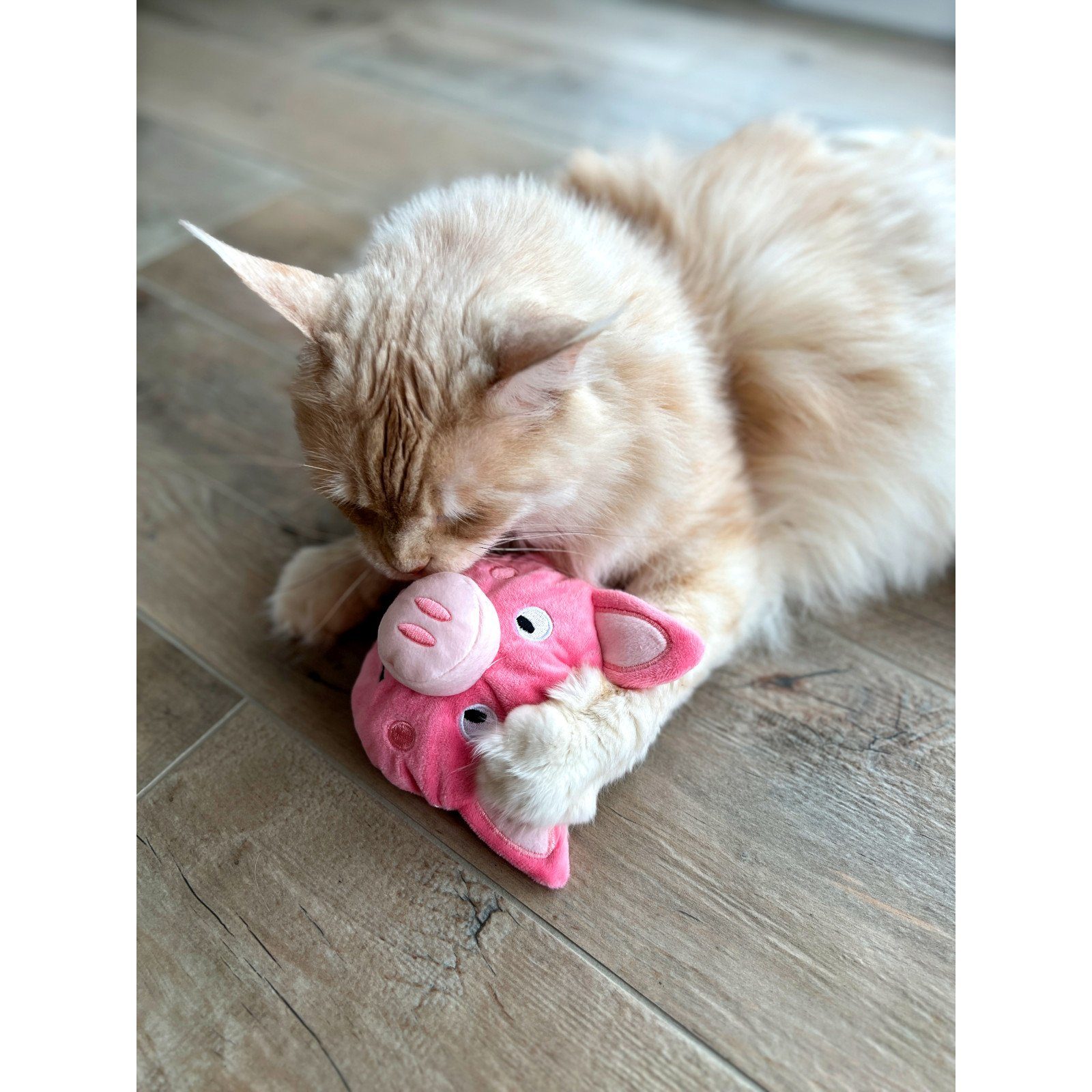 Aumüller Tierkuscheltier Katzenspielkissen mit Baldrian, Schweinchen Peggy