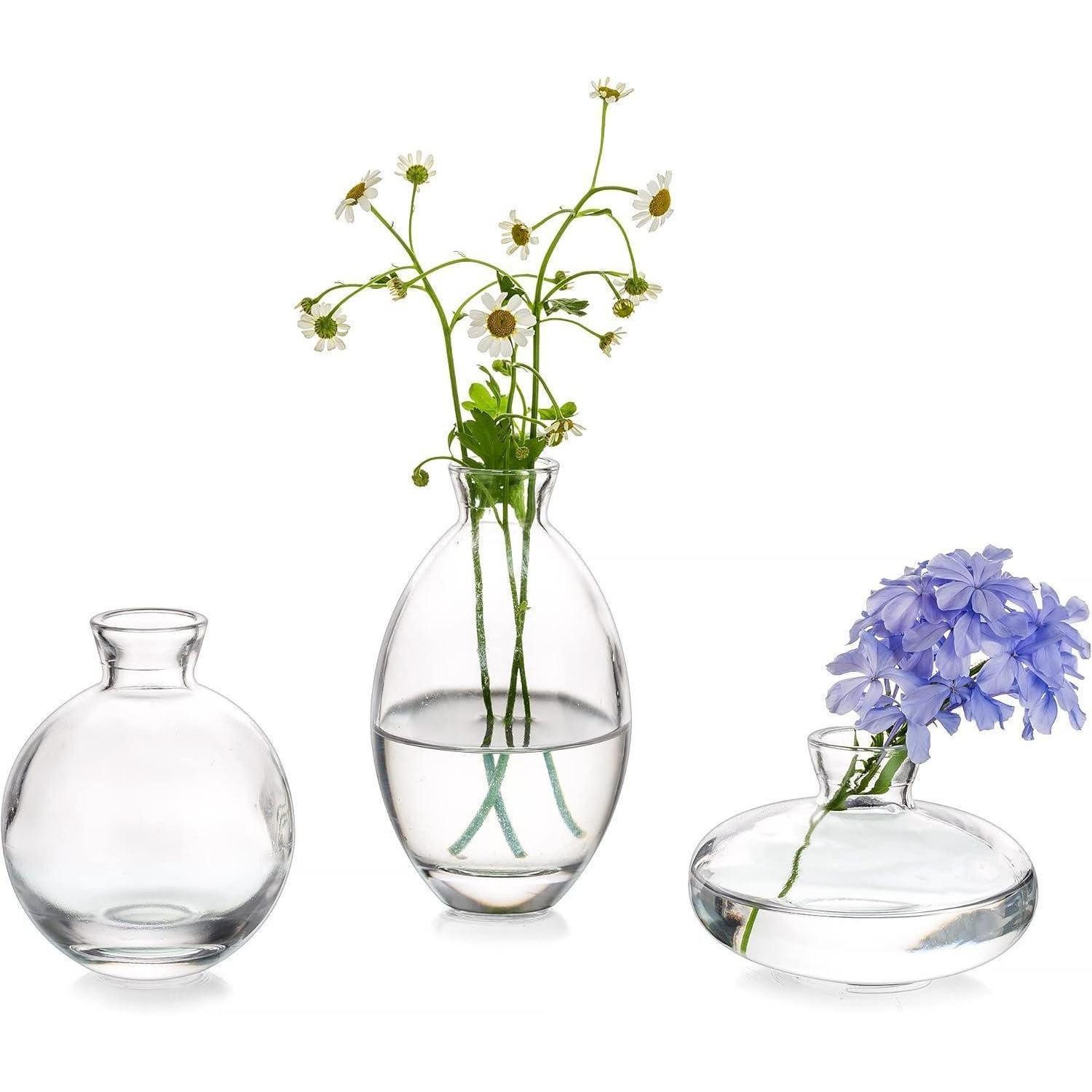 LuxusKollektion Tischvase Vintage Mini Glasvase Set 3-teilig Klar Handmade Blumenvase für (1 St)