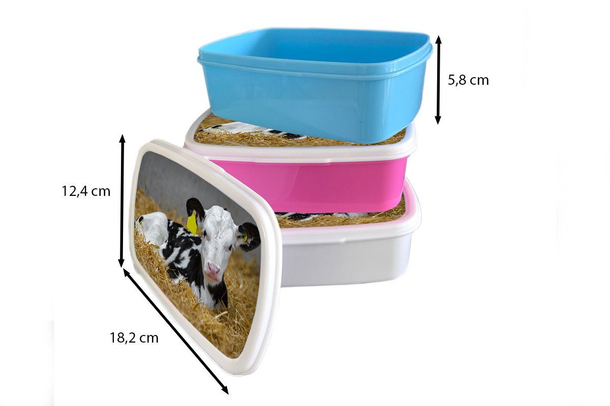- - Kunststoff, Lunchbox Brotdose, Jungs (2-tlg), für Mädchen Tier, weiß Brotbox Kuh und MuchoWow Erwachsene, Kalb für Kinder und - Stroh