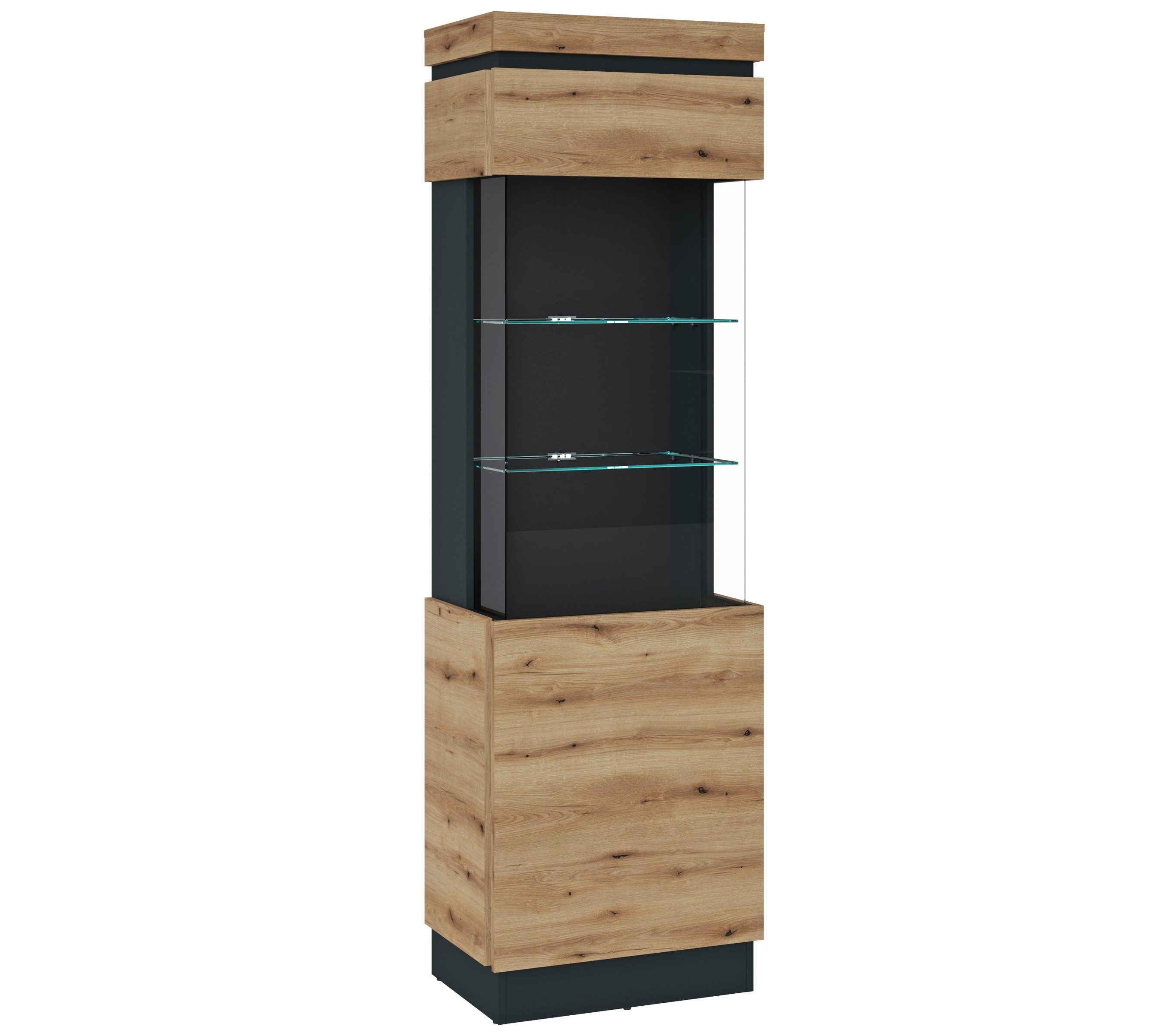 freiraum Glasvitrine CORTE in Coast Evoke Eiche Dekor/Kosmos Grau - 60x200,5x40 (BxHxT)