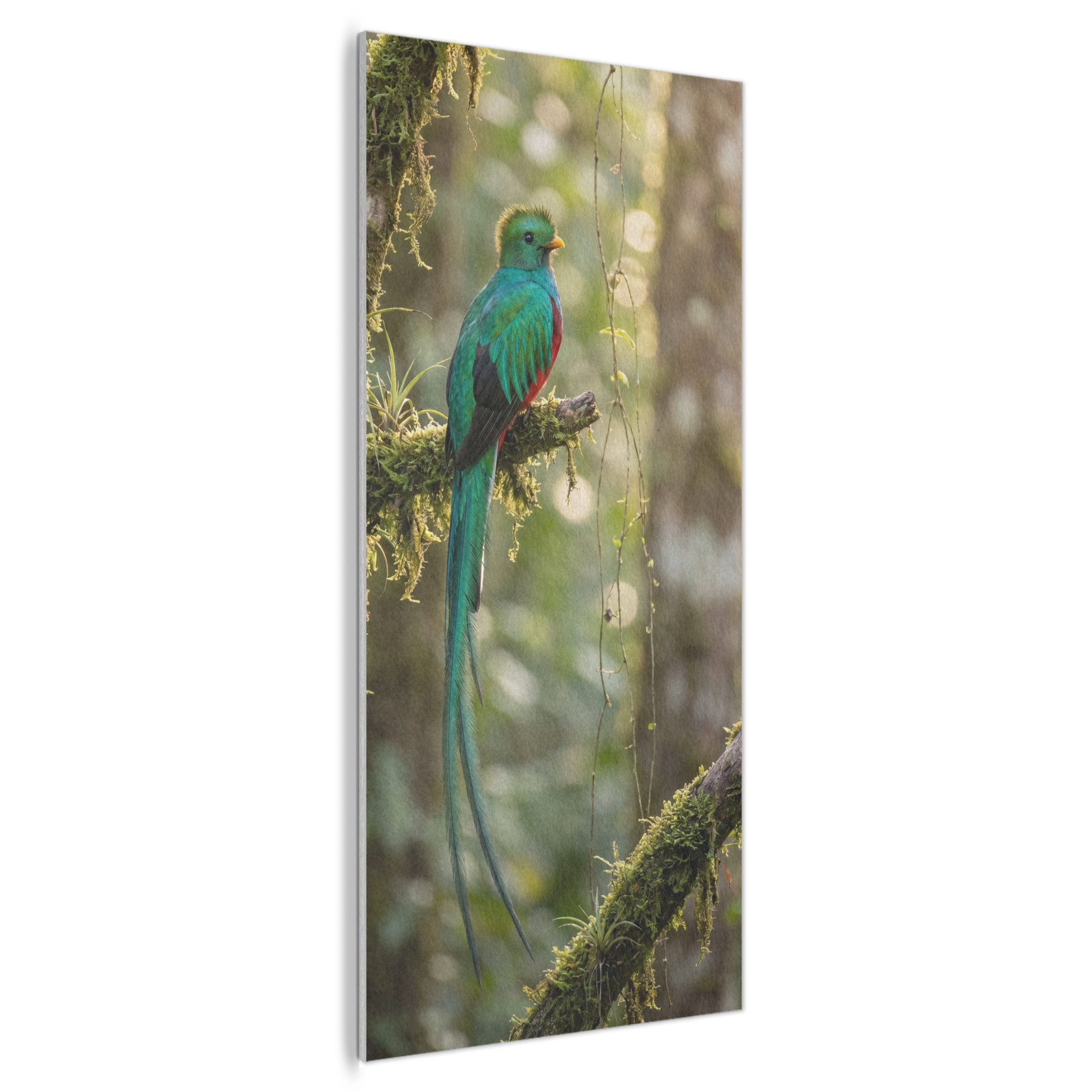 MuchoWow Gemälde Quetzal - Dschungel - Natur - Grün, Fotodruck (1 St), Akustikpaneele Rund, Akustikbild, Schalldämmung, Deko 60x120 cm