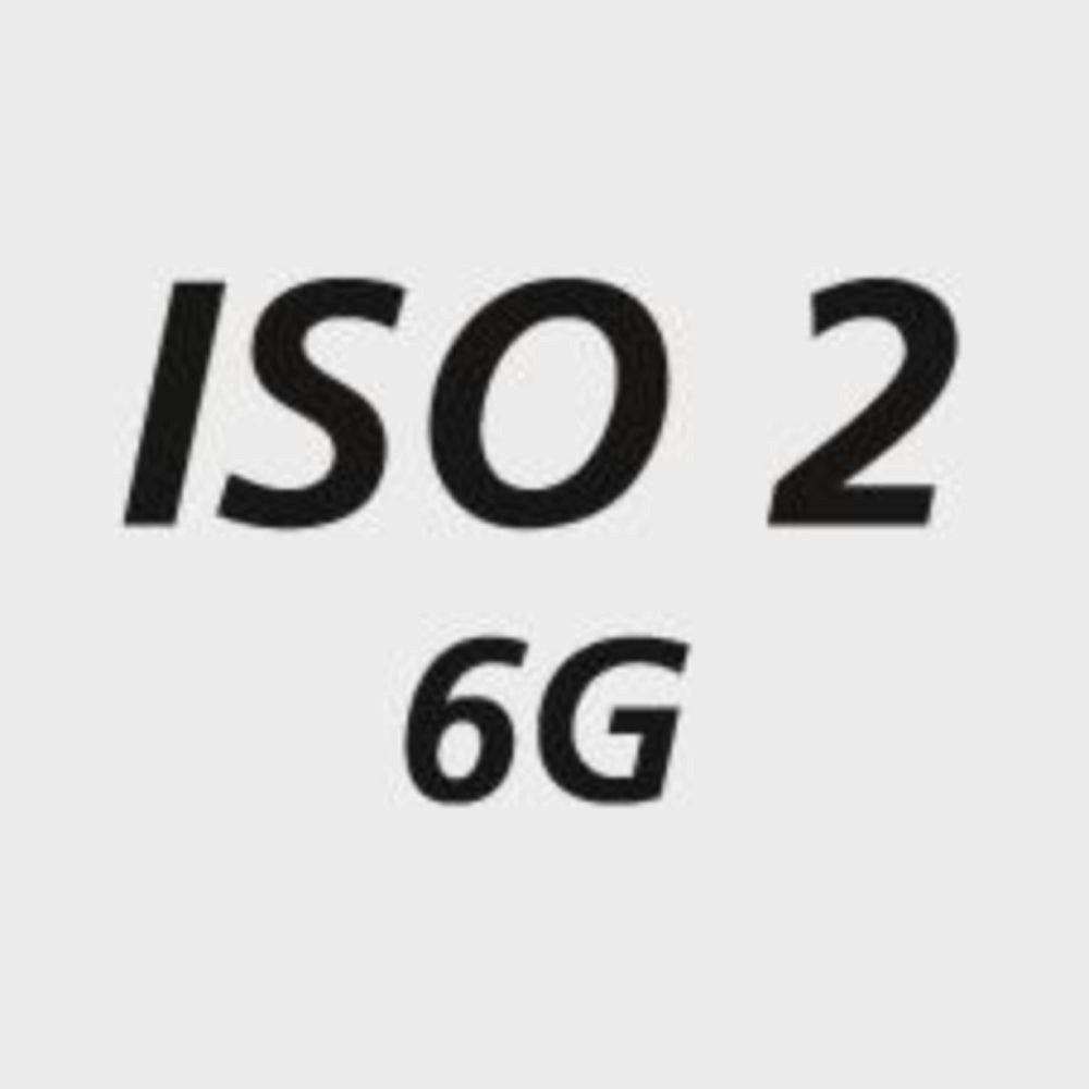 fortis Gewindebohrer