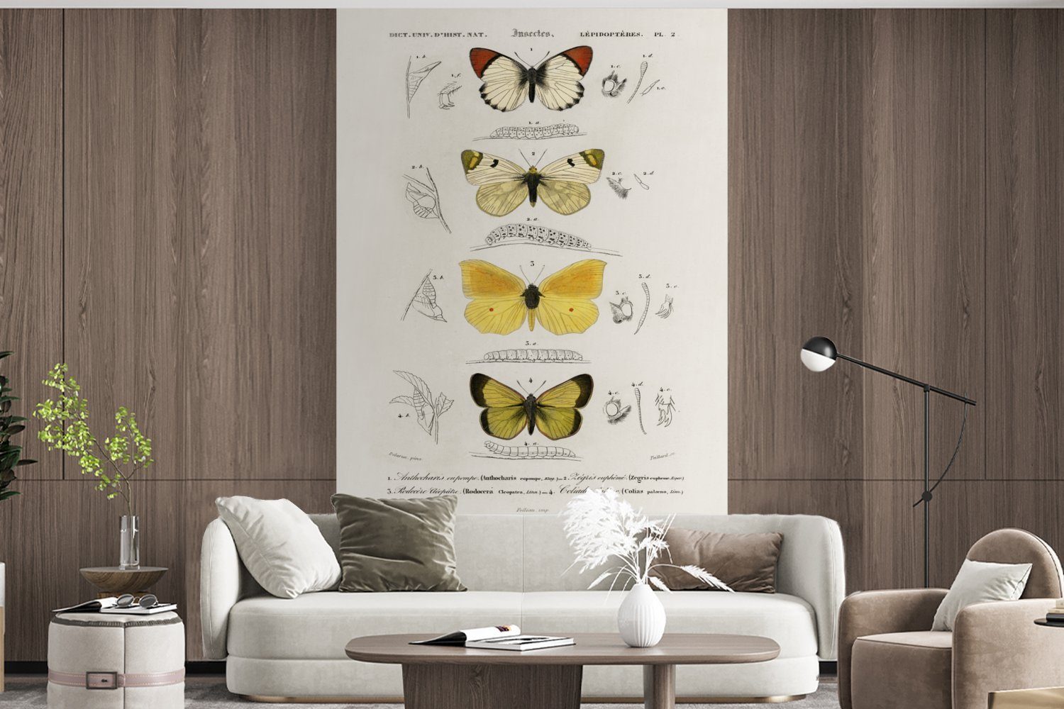 für Wohnzimmer, Wallpaper Schmetterling bedruckt, St), Tapete Vintage - Fototapete Kinderzimmer, Schlafzimmer, Vinyl (3 MuchoWow Matt, Insekten, -