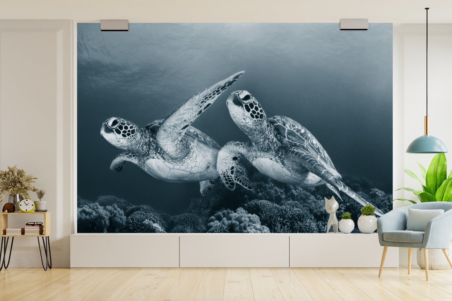 MuchoWow Fototapete Schildkröte bedruckt, Matt, (6 Tapete Schlafzimmer, Wohnzimmer, weiß Tiere, Wilde Kinderzimmer, Vinyl - - Schwarz für - Meerestiere und St), Wallpaper