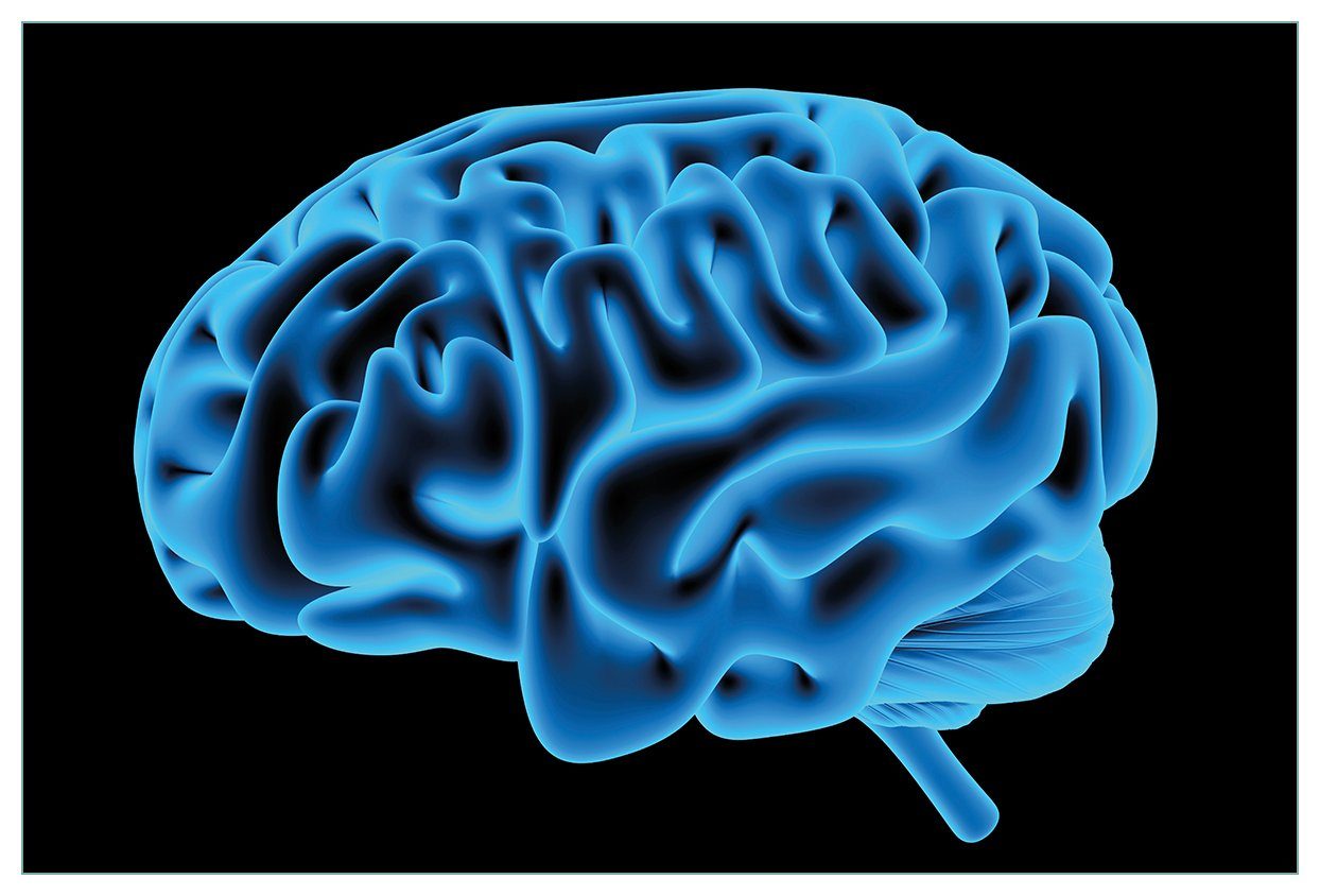 Wallario Küchenrückwand Menschliches Gehirn in leuchtend blauer Farbe, (1-tlg)