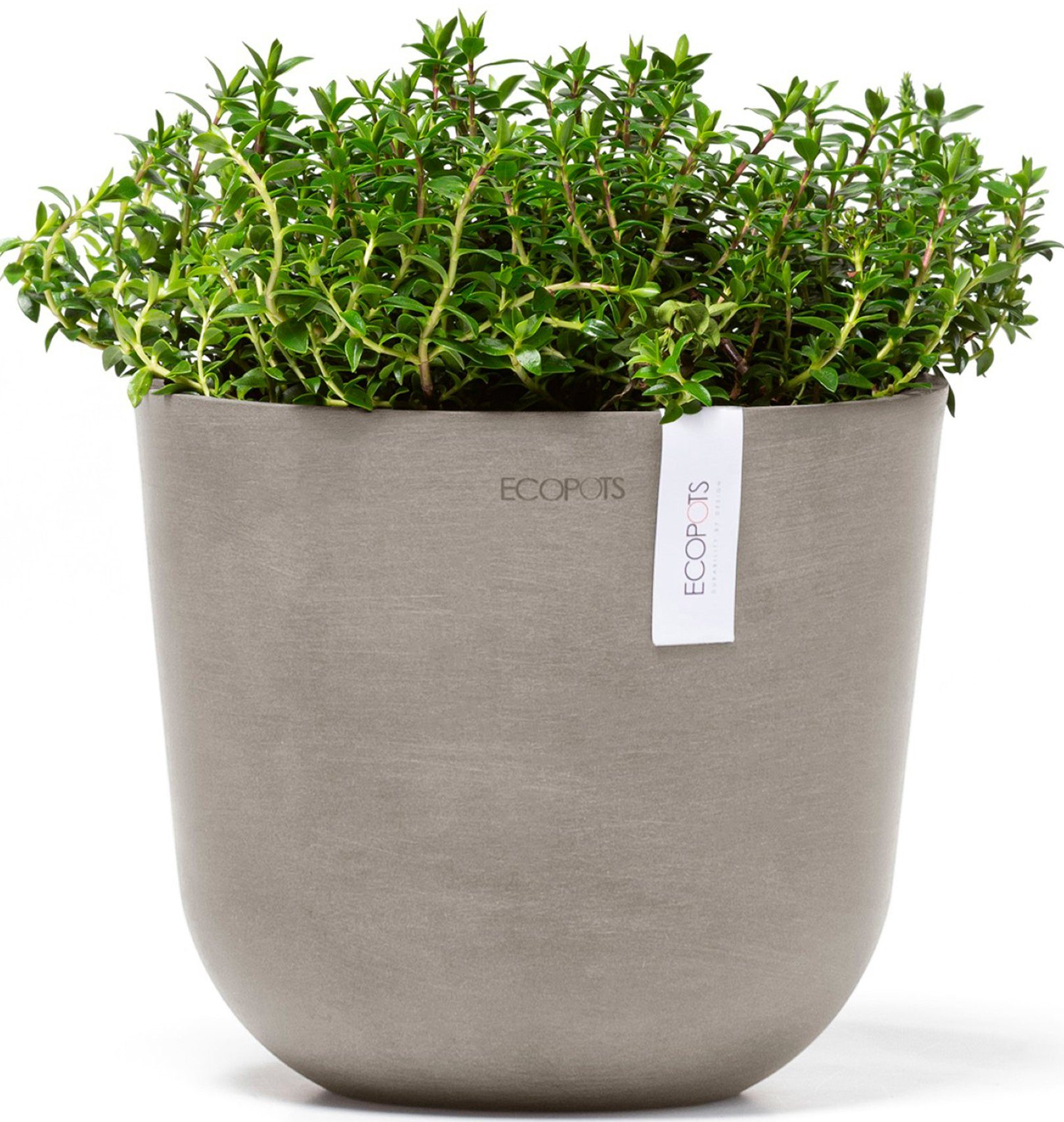 ECOPOTS Blumentopf Oslo 19 Taupe, für günstig online kaufen
