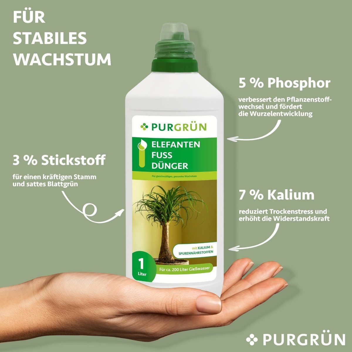 Purgrün Universaldünger Purgrün Elefantenfuß Dünger, NPK günstig online kaufen