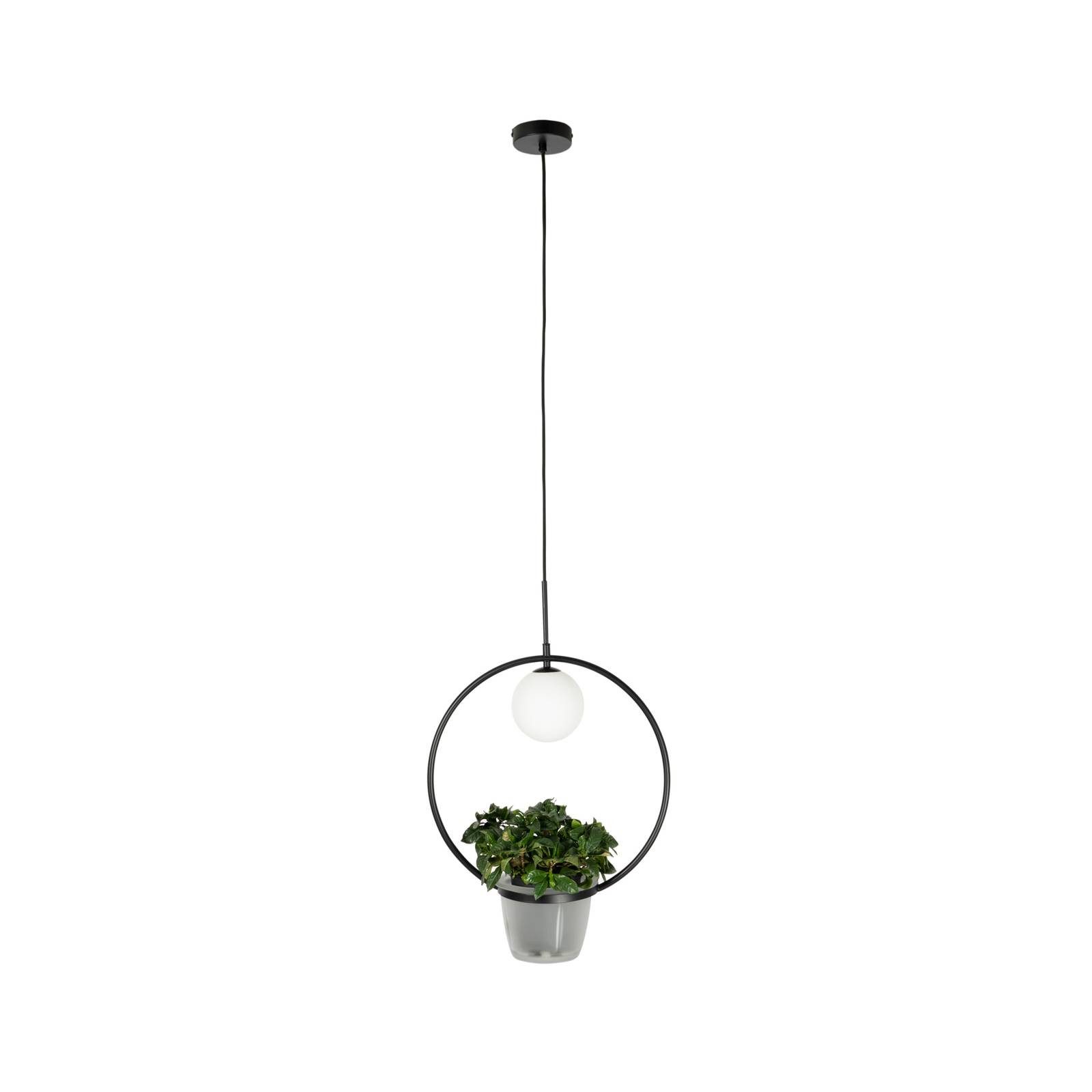 Lindby Hängeleuchte Orna, Metall, Schwarz IP20, 1 x 8 W LED