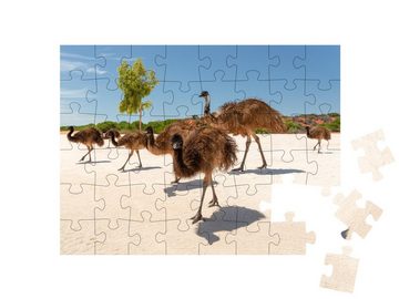 puzzleYOU Puzzle Emu-Familie an der Haifischbucht, Australien, 48 Puzzleteile, puzzleYOU-Kollektionen Emus, Exotische Tiere & Trend-Tiere