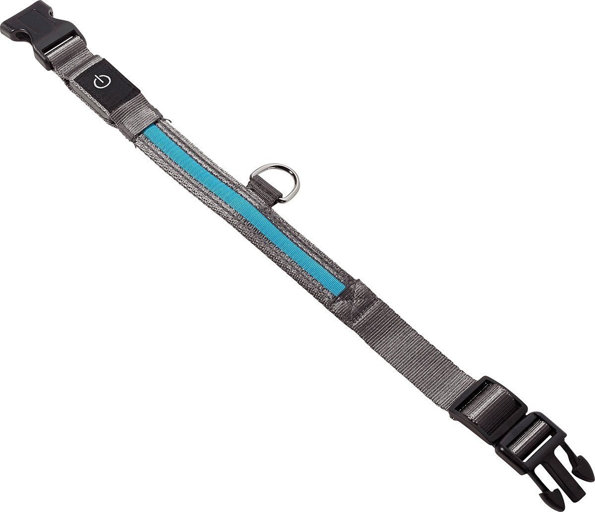 Hundehalsbandleuchte B94